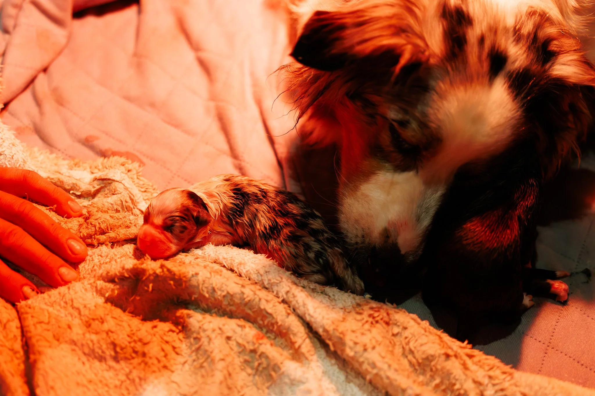 BU5A0640-DxO_DeepPRIME XD2s.jpg