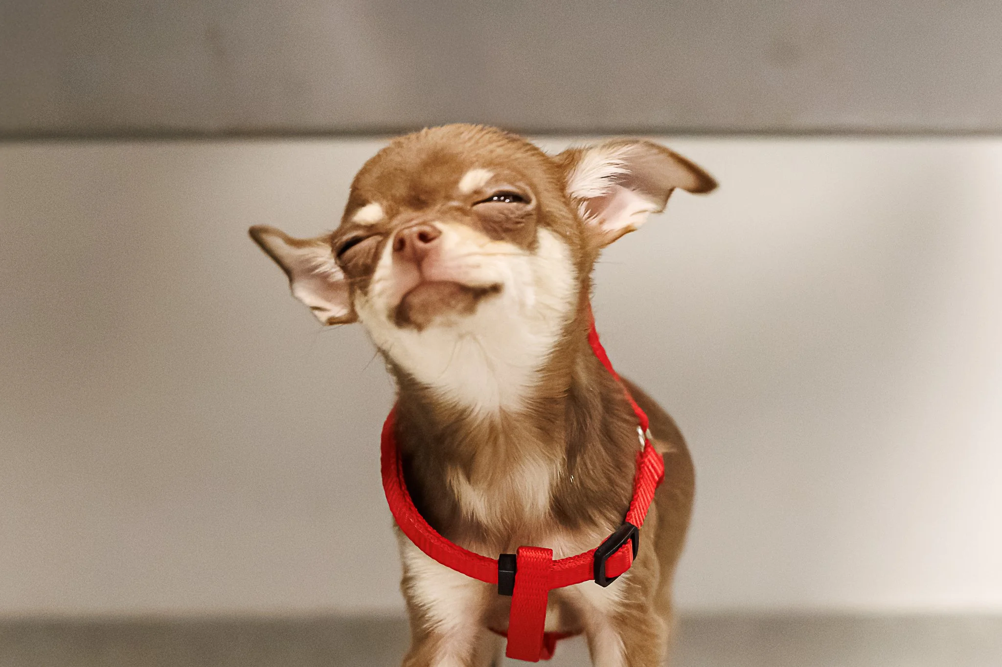 07012026-BU5A5298-DxO_DeepPRIME 3.jpg