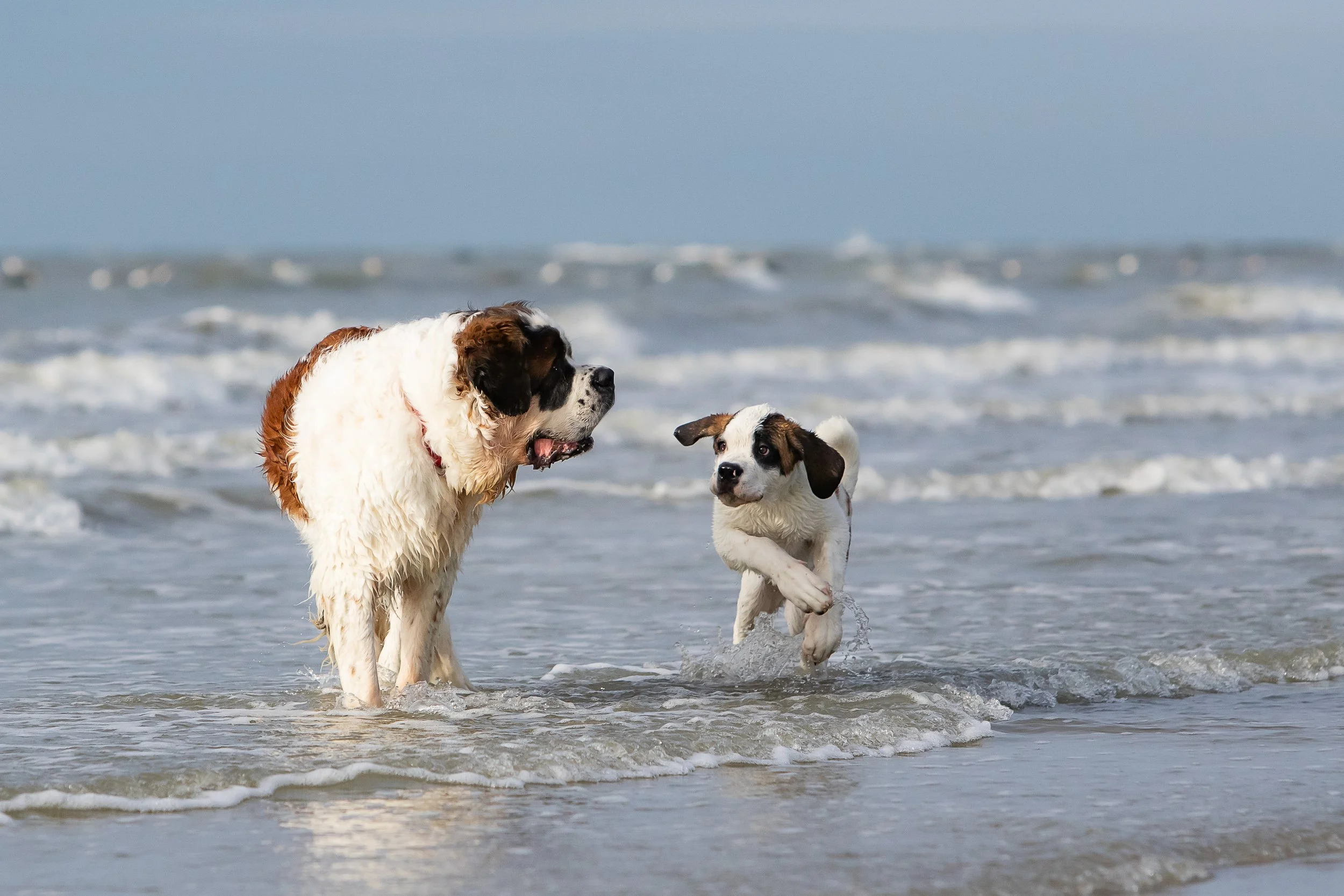 05062021-ostende (5).jpg