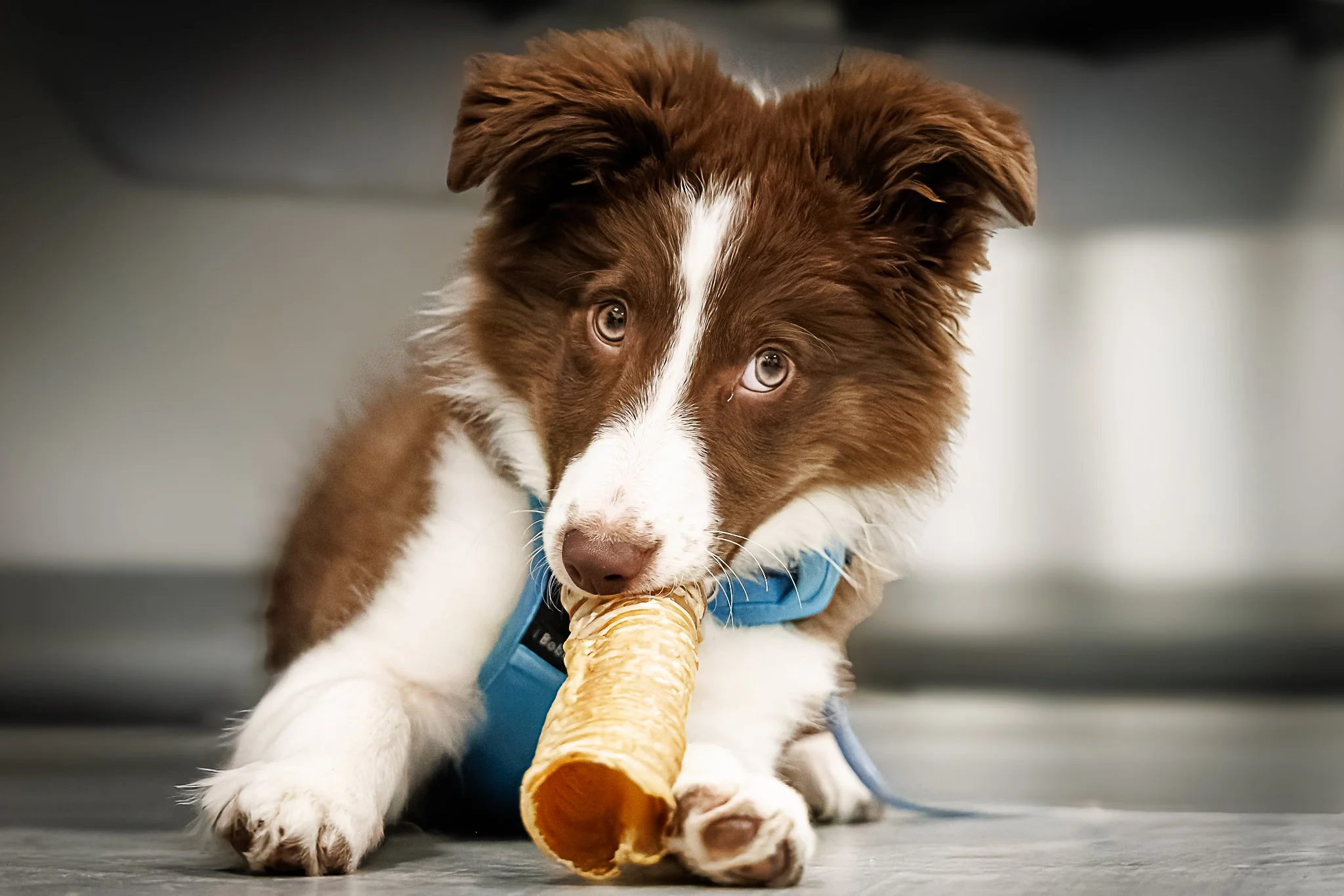 07012026-BU5A5335-DxO_DeepPRIME 3.jpg