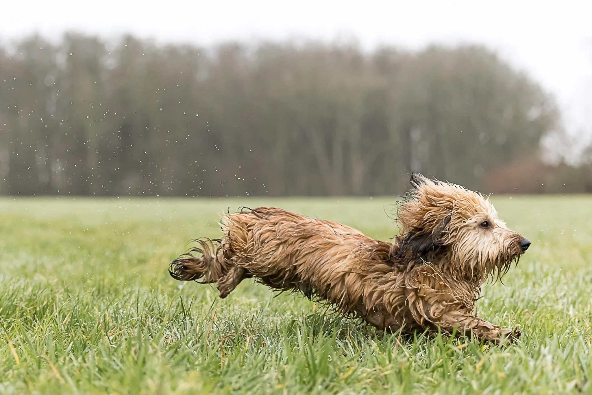 13122025-BU5A3560-DxO_DeepPRIME 3.jpg