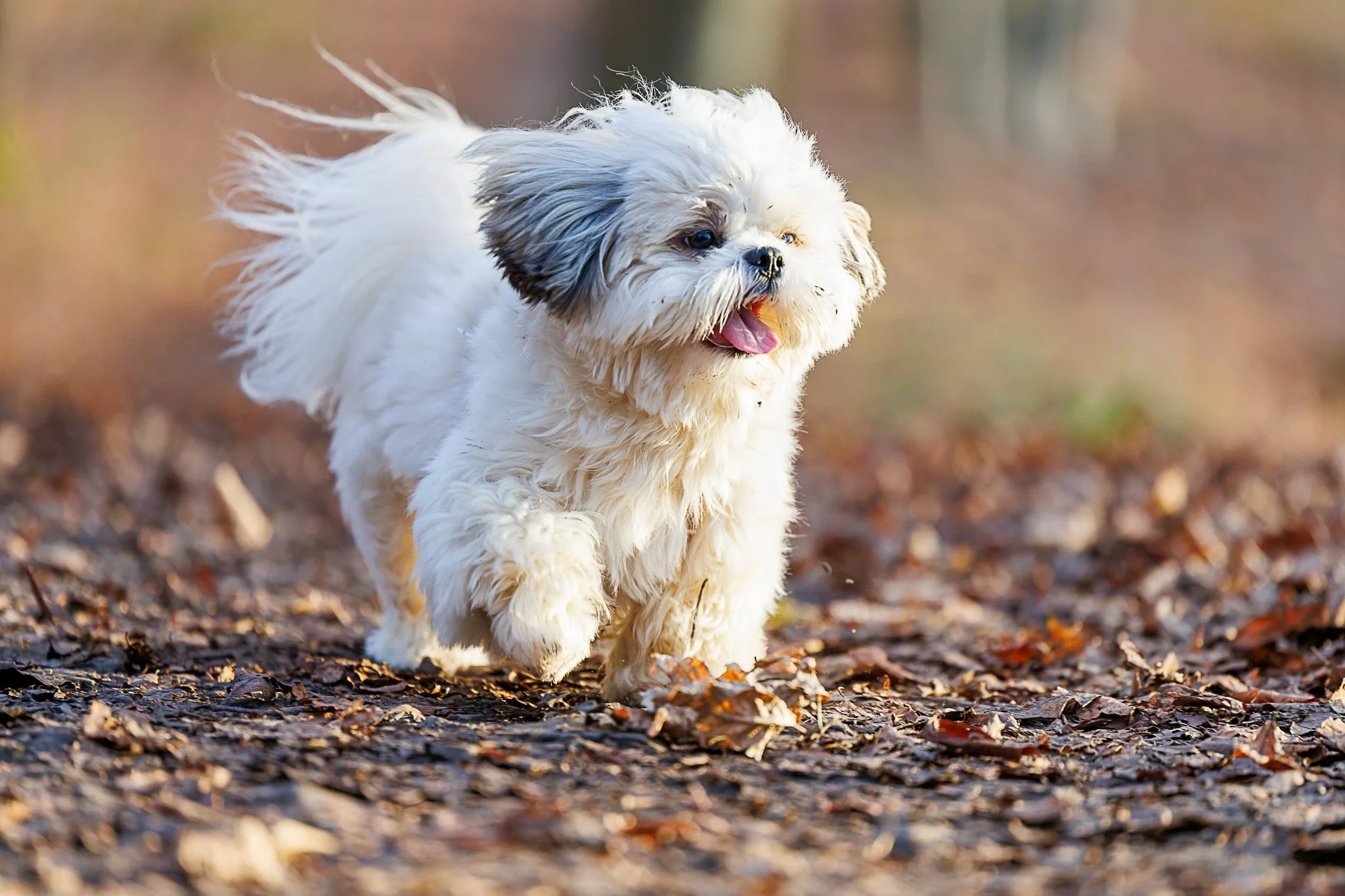 18122025-BU5A3923-DxO_DeepPRIME 3.jpg