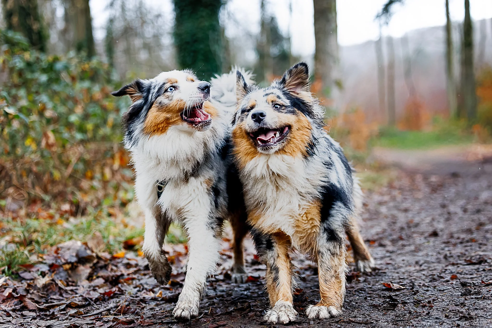 20122025-BU5A4246-DxO_DeepPRIME 3.jpg