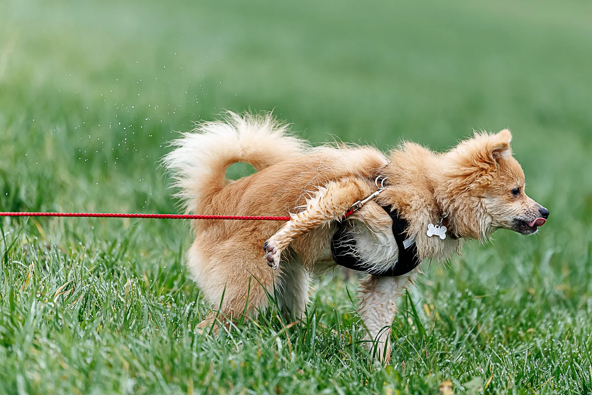 13122025-BU5A3596-DxO_DeepPRIME 3.jpg