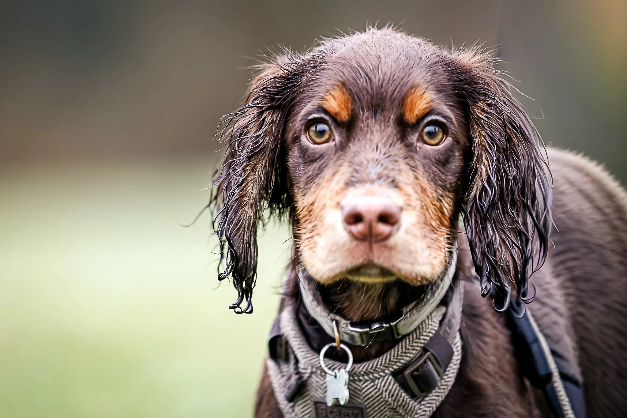 13122025-BU5A3799-DxO_DeepPRIME 3-Modifier.jpg