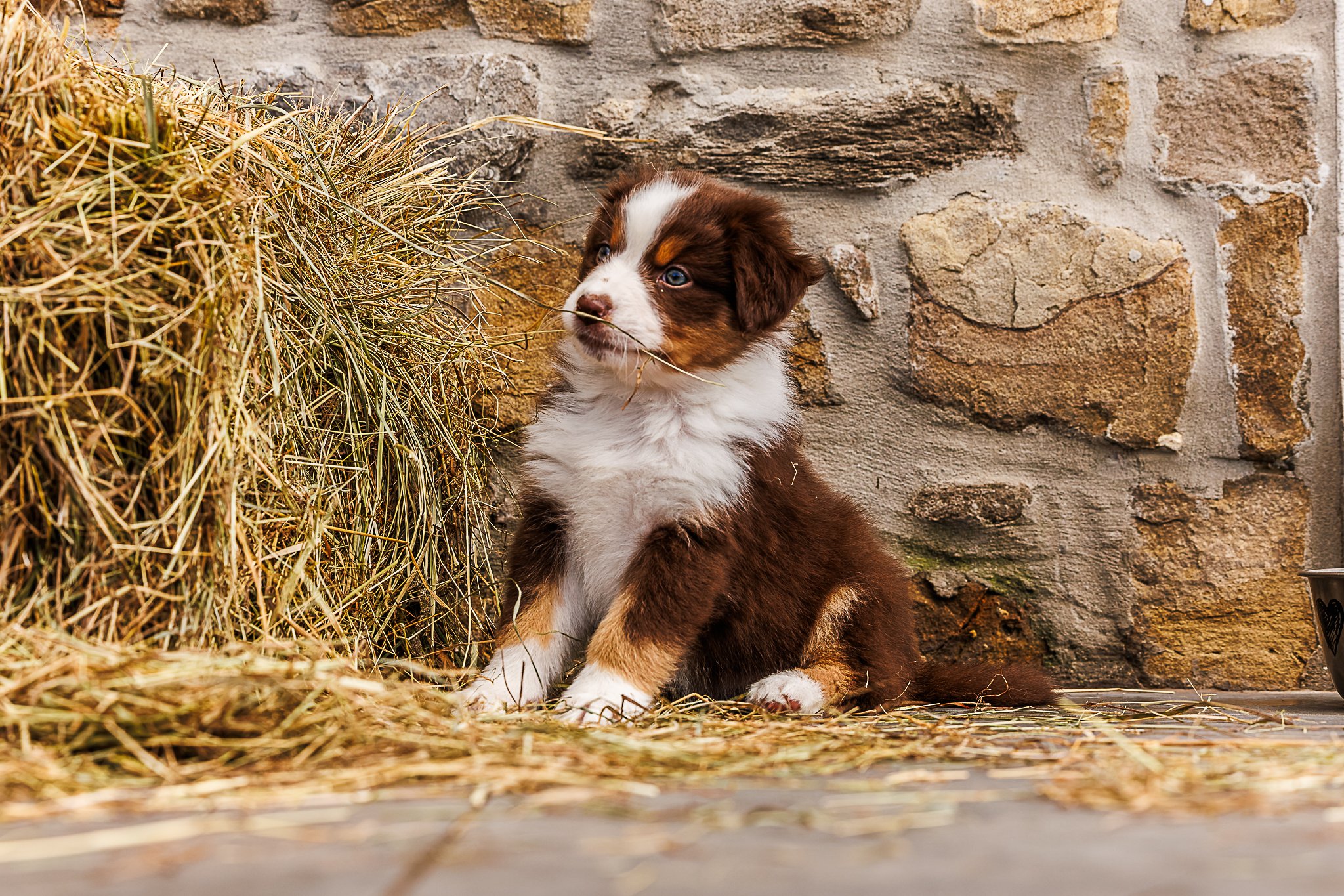 08112025-_U5A2160-DxO_DeepPRIME 3.jpg