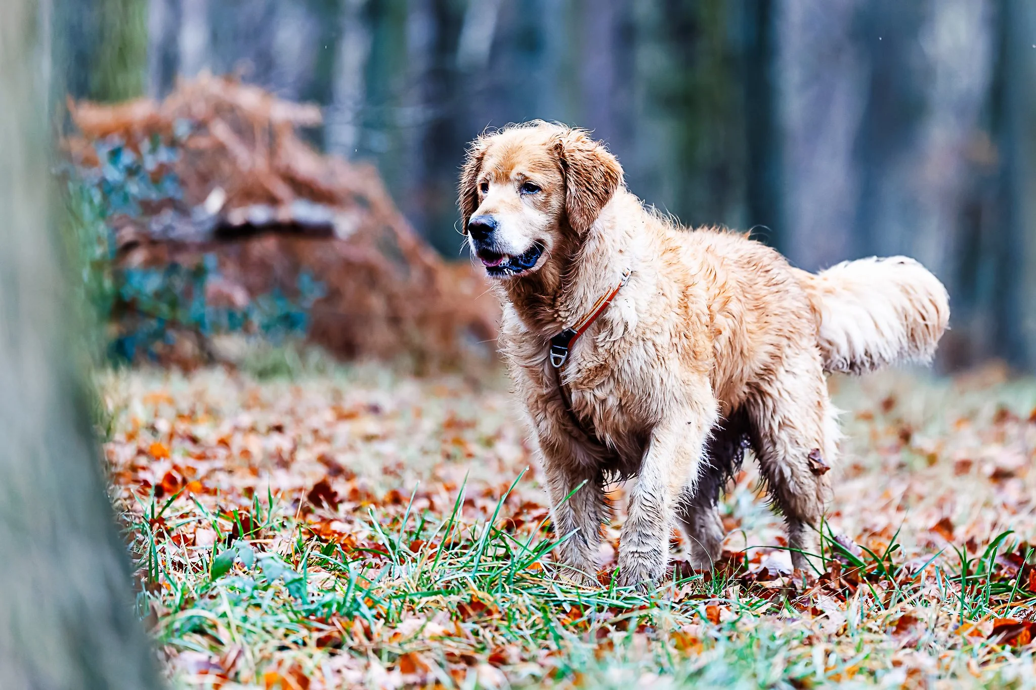 20122025-BU5A4182-DxO_DeepPRIME 3.jpg