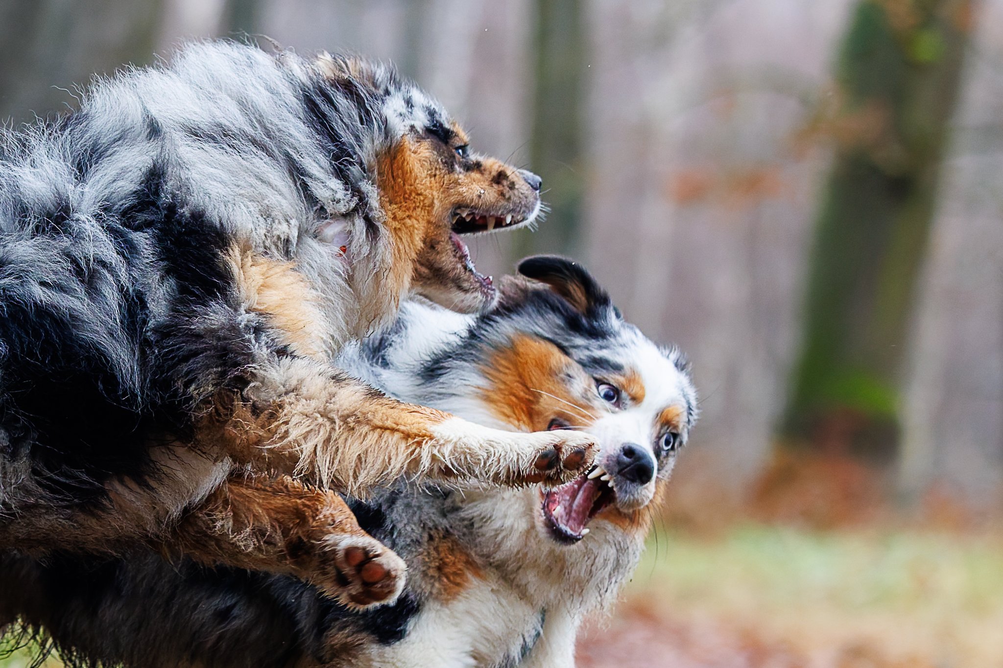 20122025-BU5A4165-DxO_DeepPRIME 3.jpg