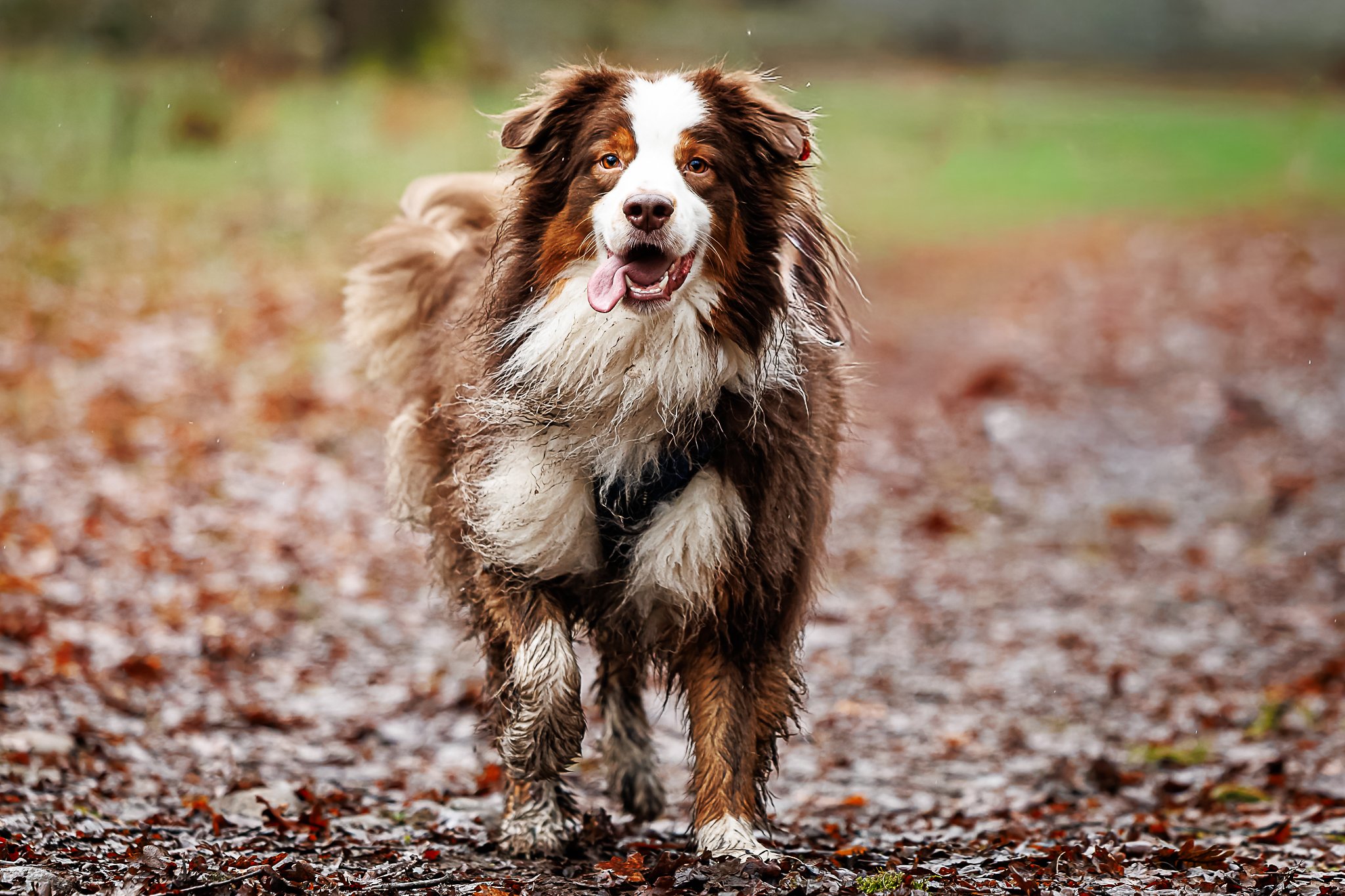 20122025-BU5A4268-DxO_DeepPRIME 3.jpg