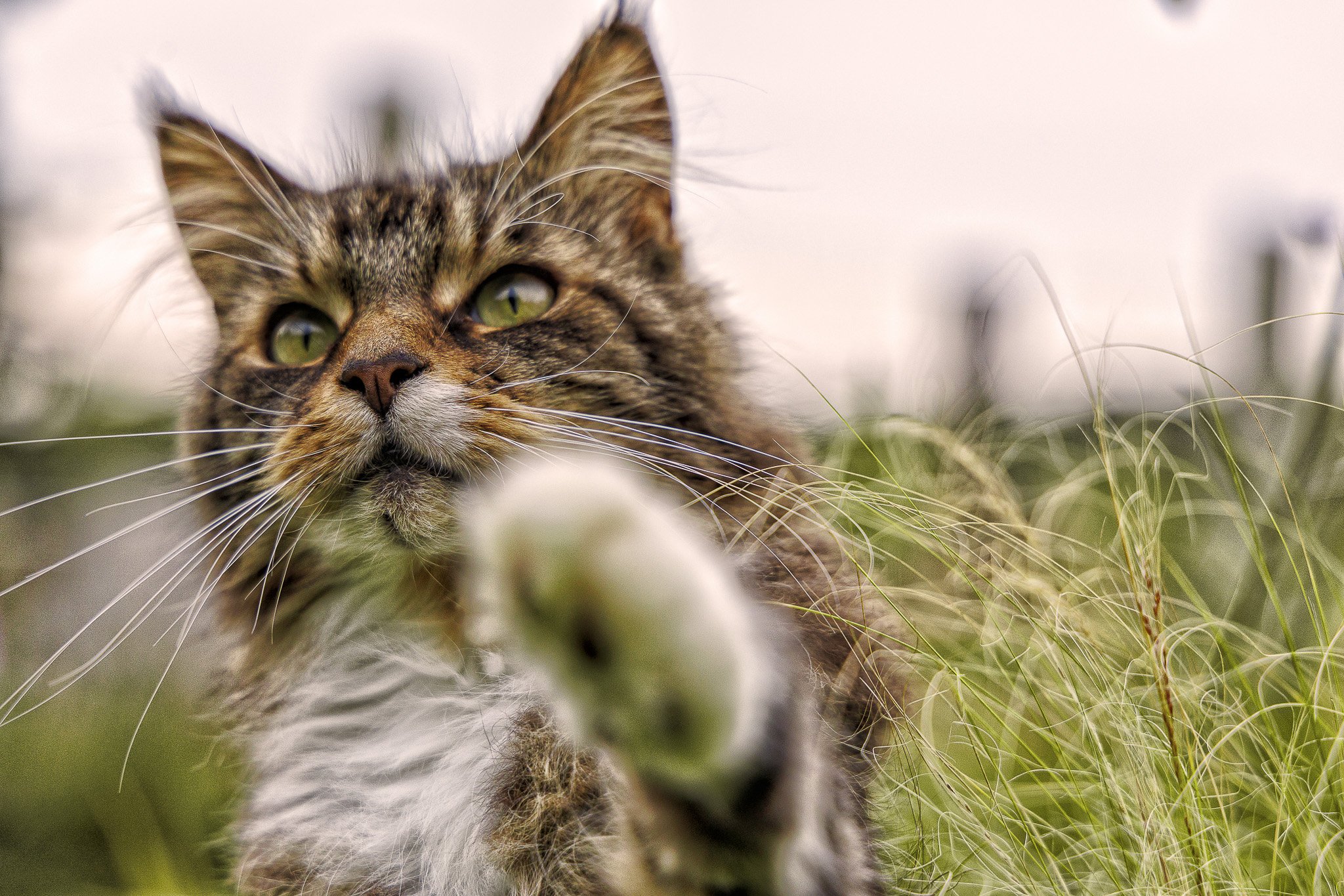 08082025-BU5A0694 (2)-Modifier-Modifier.jpg