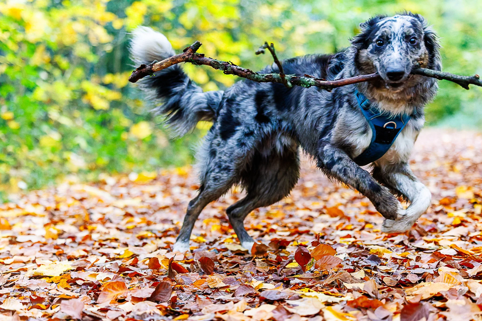 30102025-BU5A1601-DxO_DeepPRIME 3.jpg