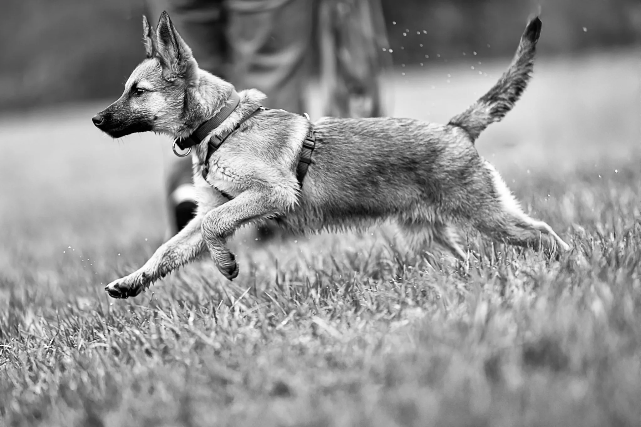 13122025-BU5A3677-DxO_DeepPRIME 3-Modifier-Modifier.jpg