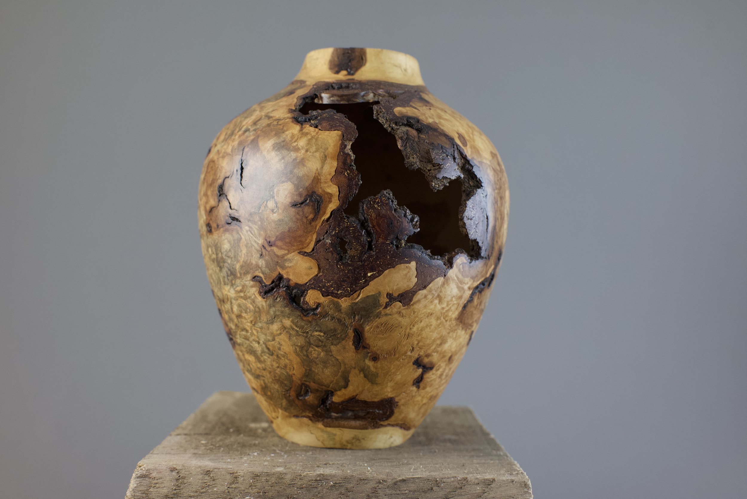 Hollow Form Vase