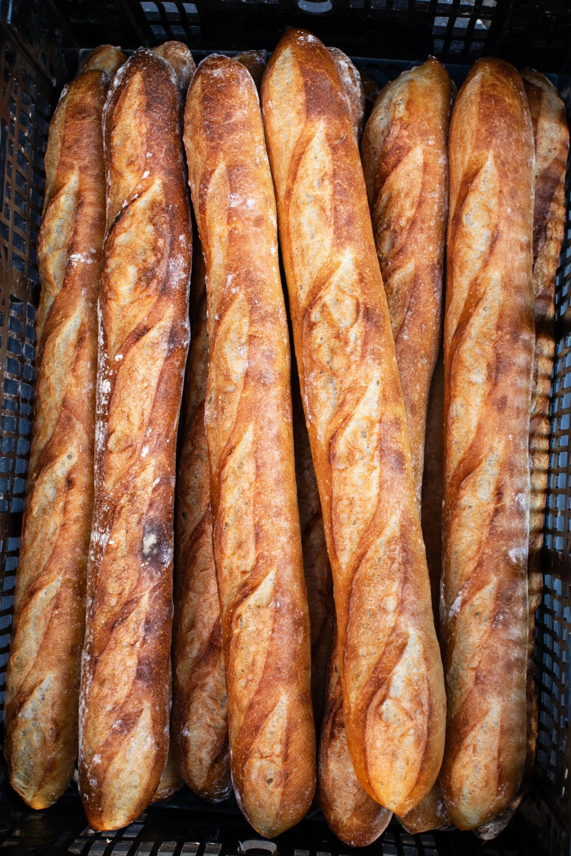 Baguette_F77A3997.jpg