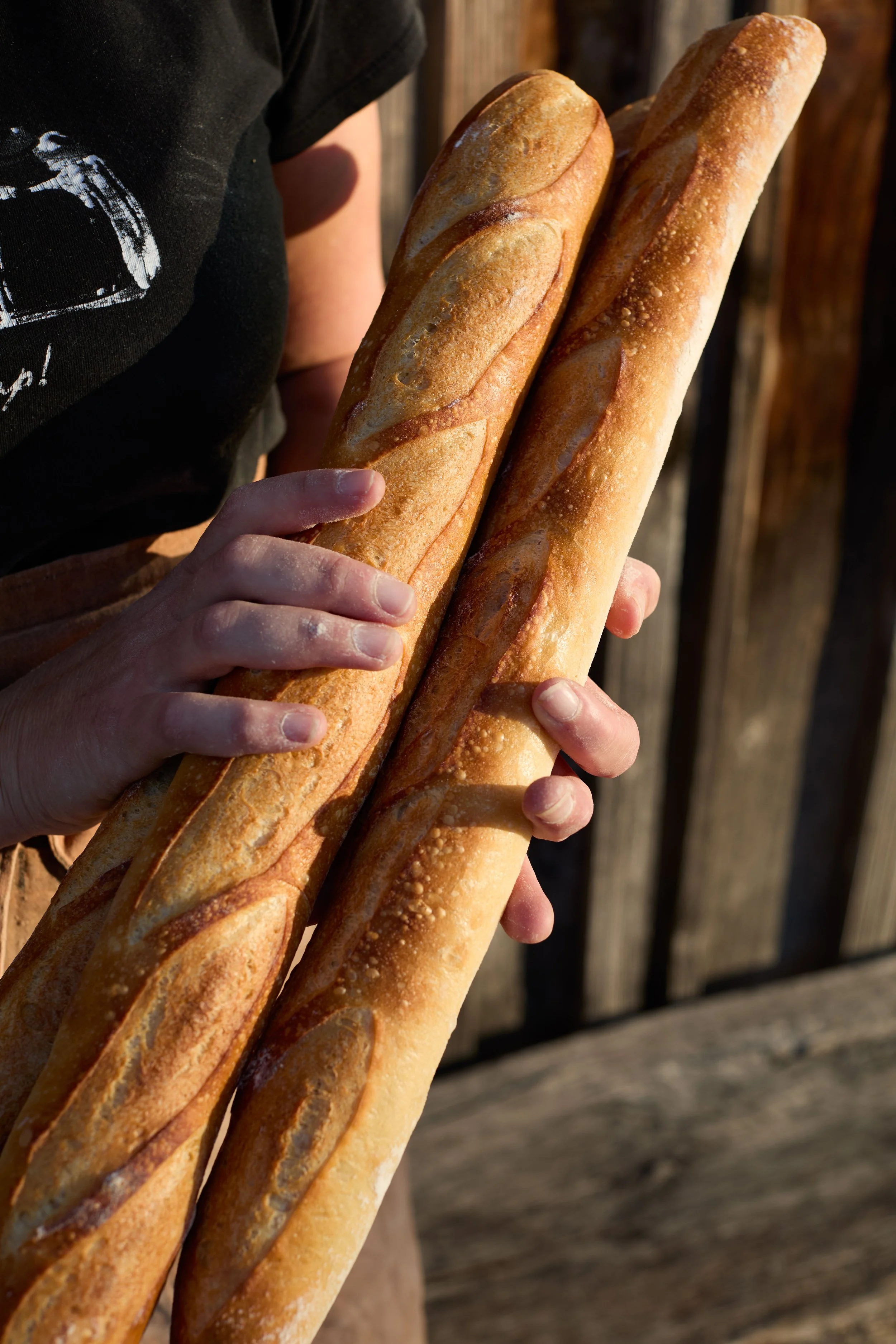 BaguetteF77A4969 1.jpg