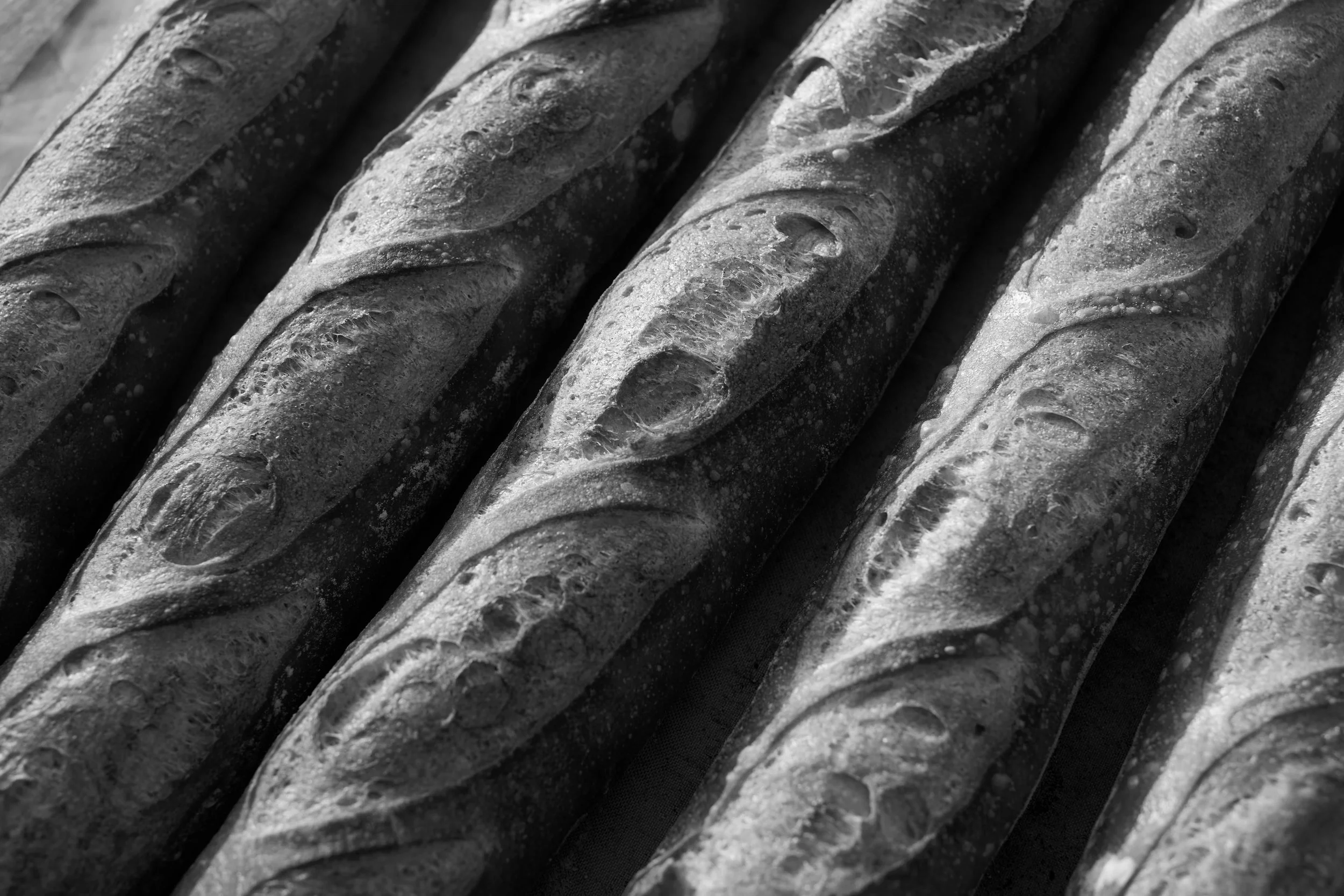 BaguetteF77A4938B.jpg