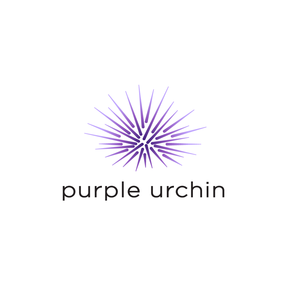 A logo for Purple Urchin featuring a purple starburst design above the words "purple urchin" on a black background.