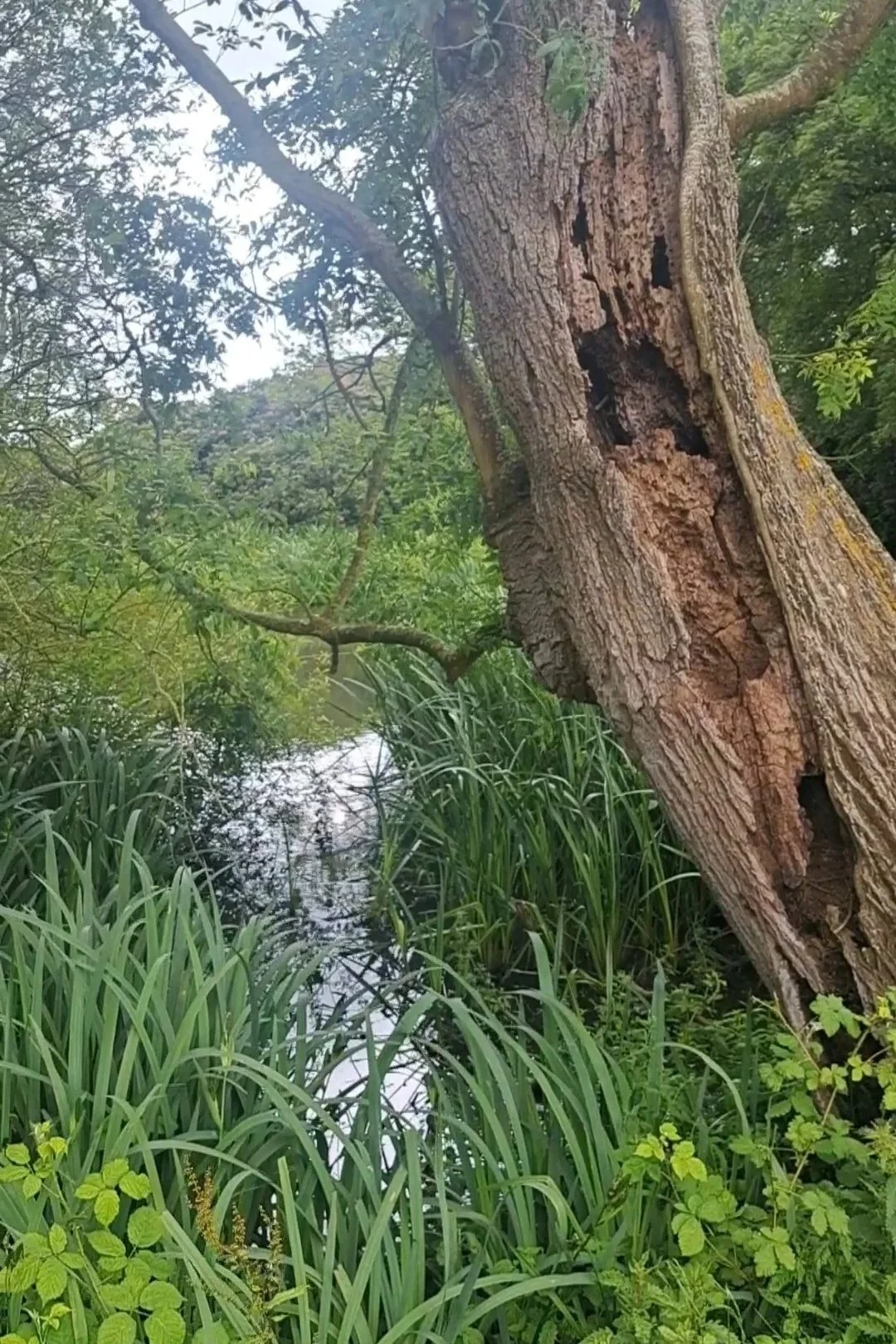 ADHD and the Great Outdoors