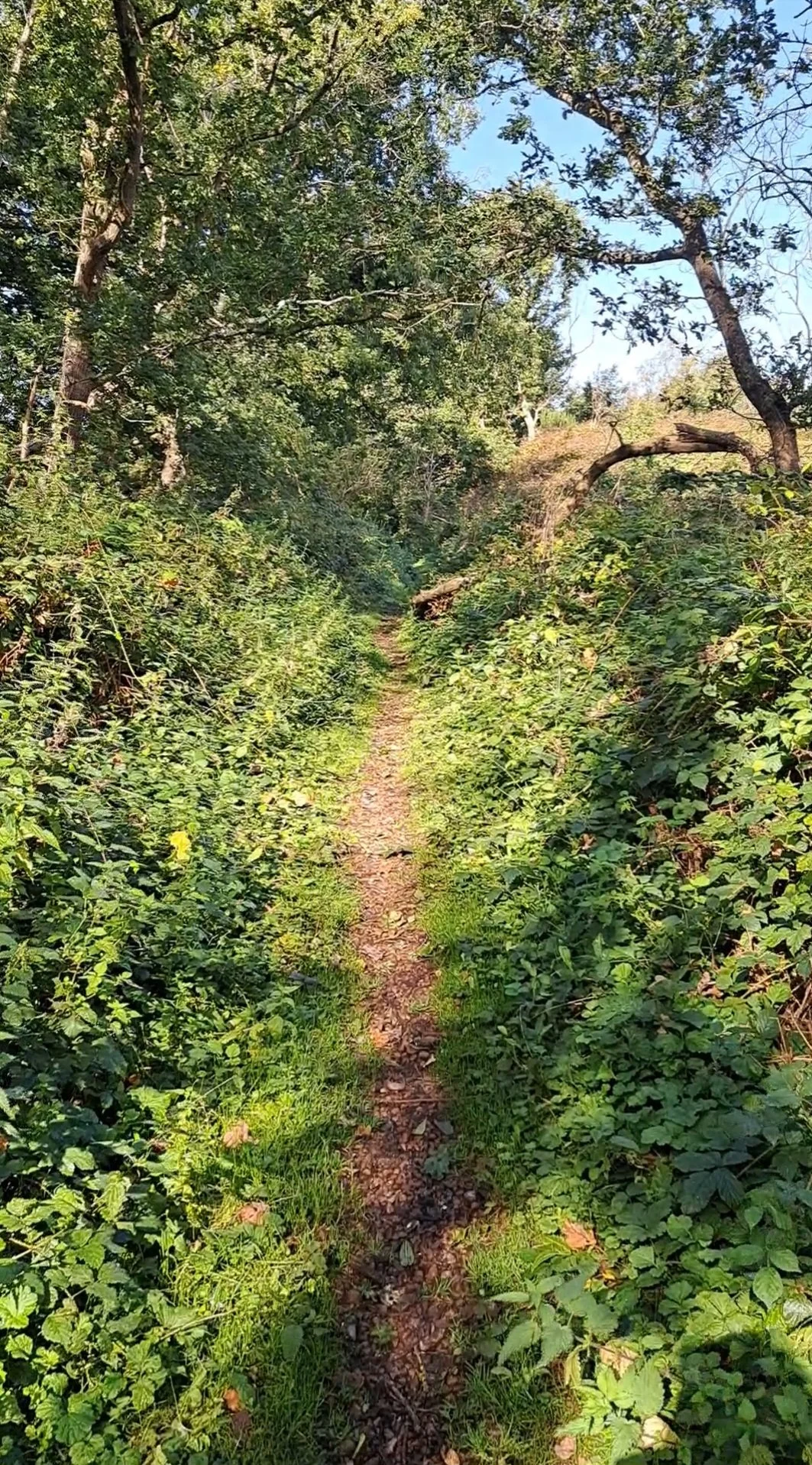 One Hour Group Sessions