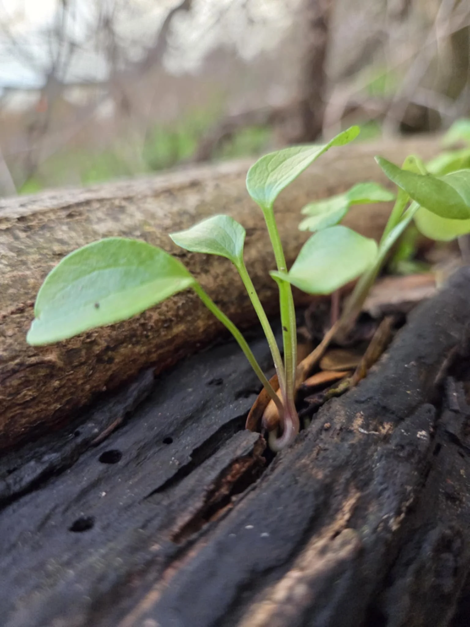 Tailored Transitions; Private Session (2 Hours)