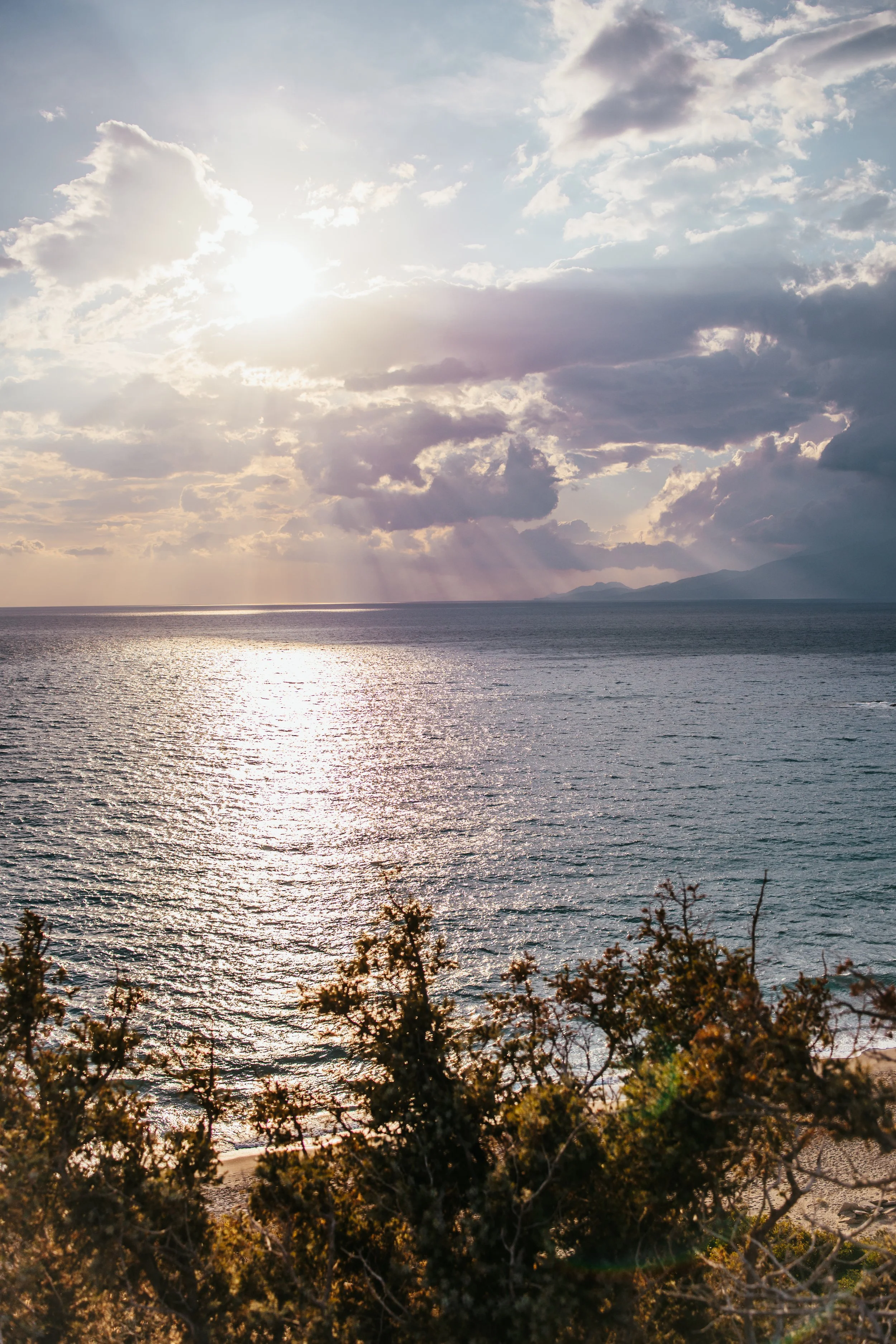 Sonnenlicht, das durch Wolken auf ein ruhiges Meer scheint, mit Sträuchern im Vordergrund.