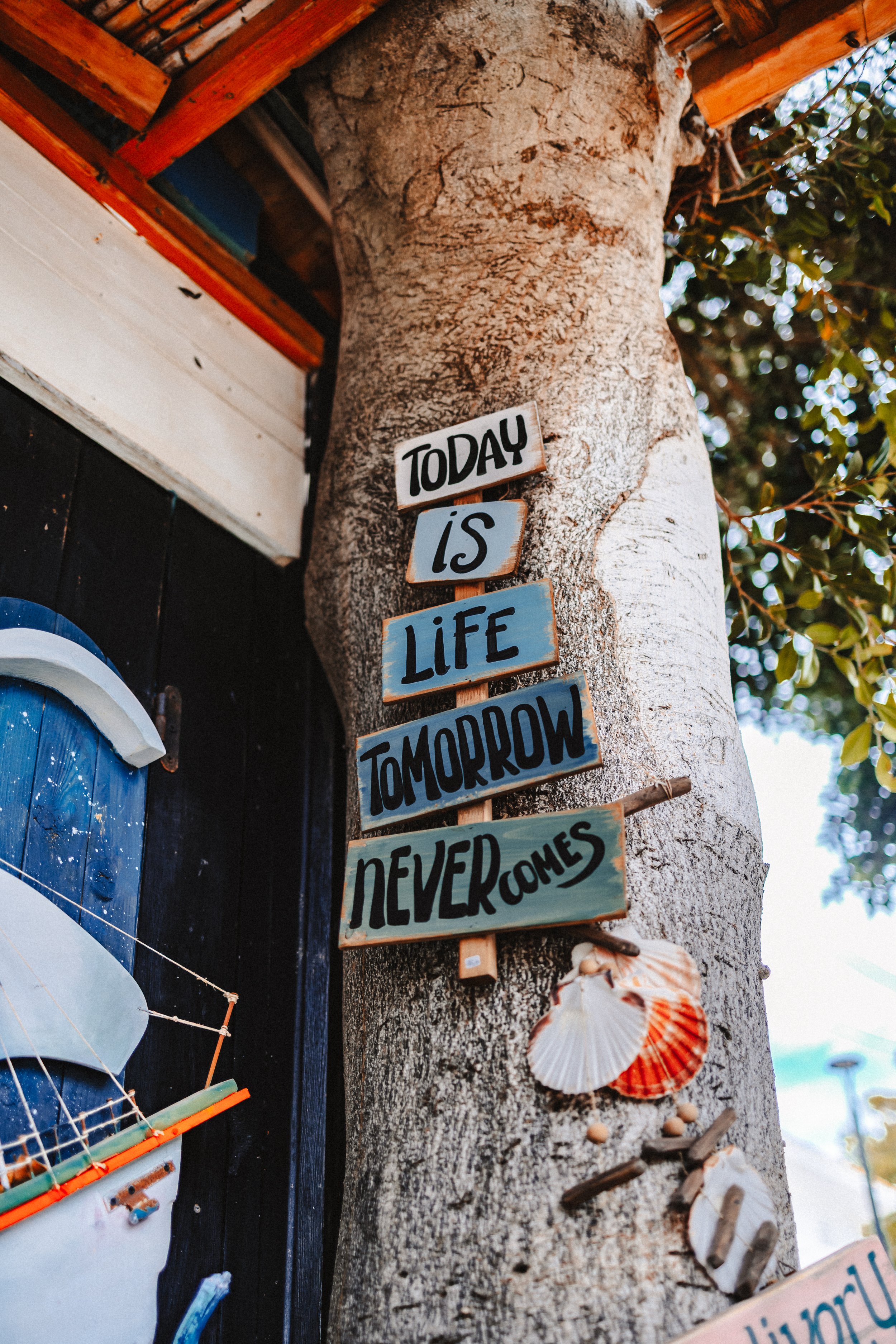 Ein Baum mit einem aufgeklebten Schild mit dem Zitat: 'Today is life. Tomorrow never comes.' Es sind Muscheln und kleine Holzstücke am Baum angebracht.