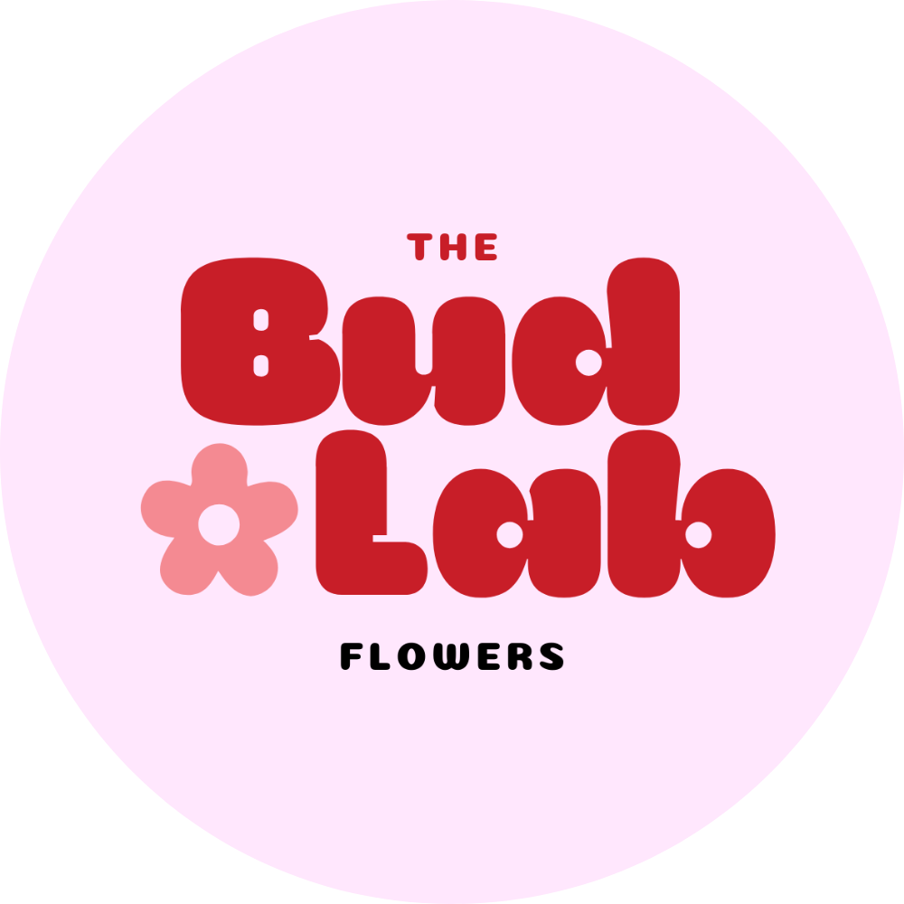 The Bud-Lab Studio