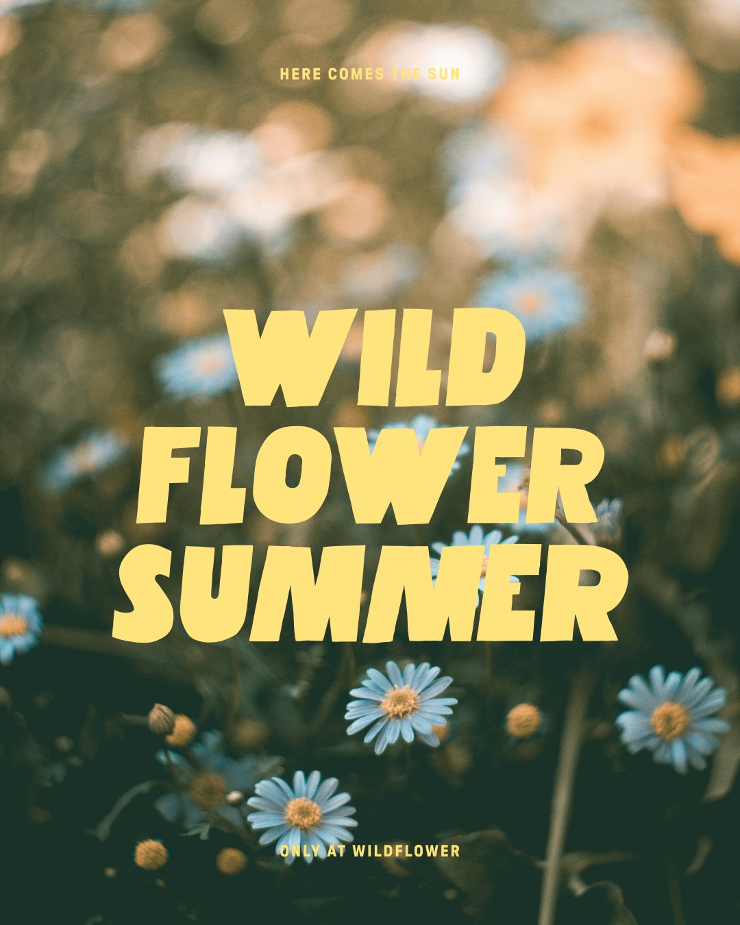 WILDFLOWER SUMMER