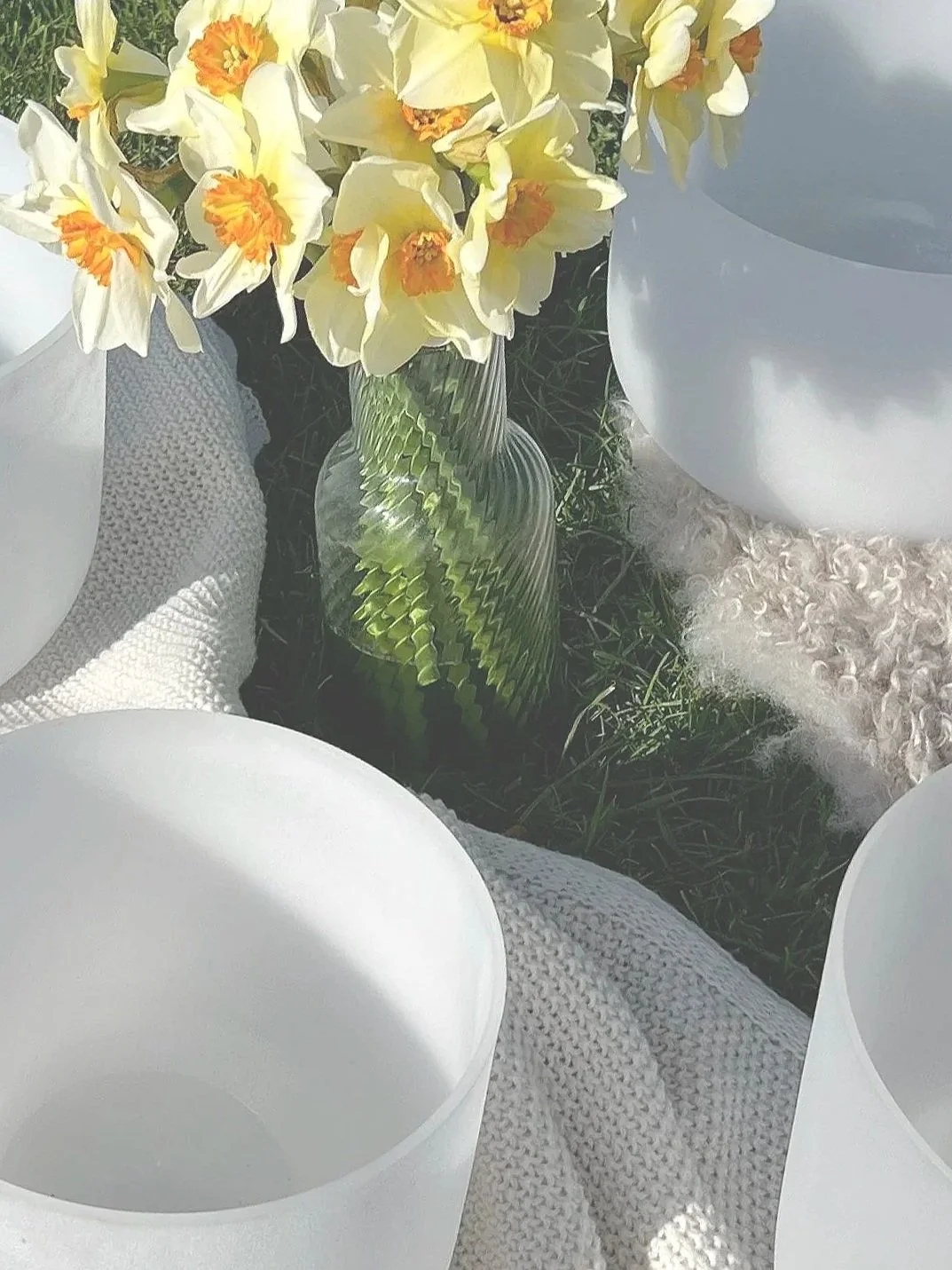 Workshops & Training