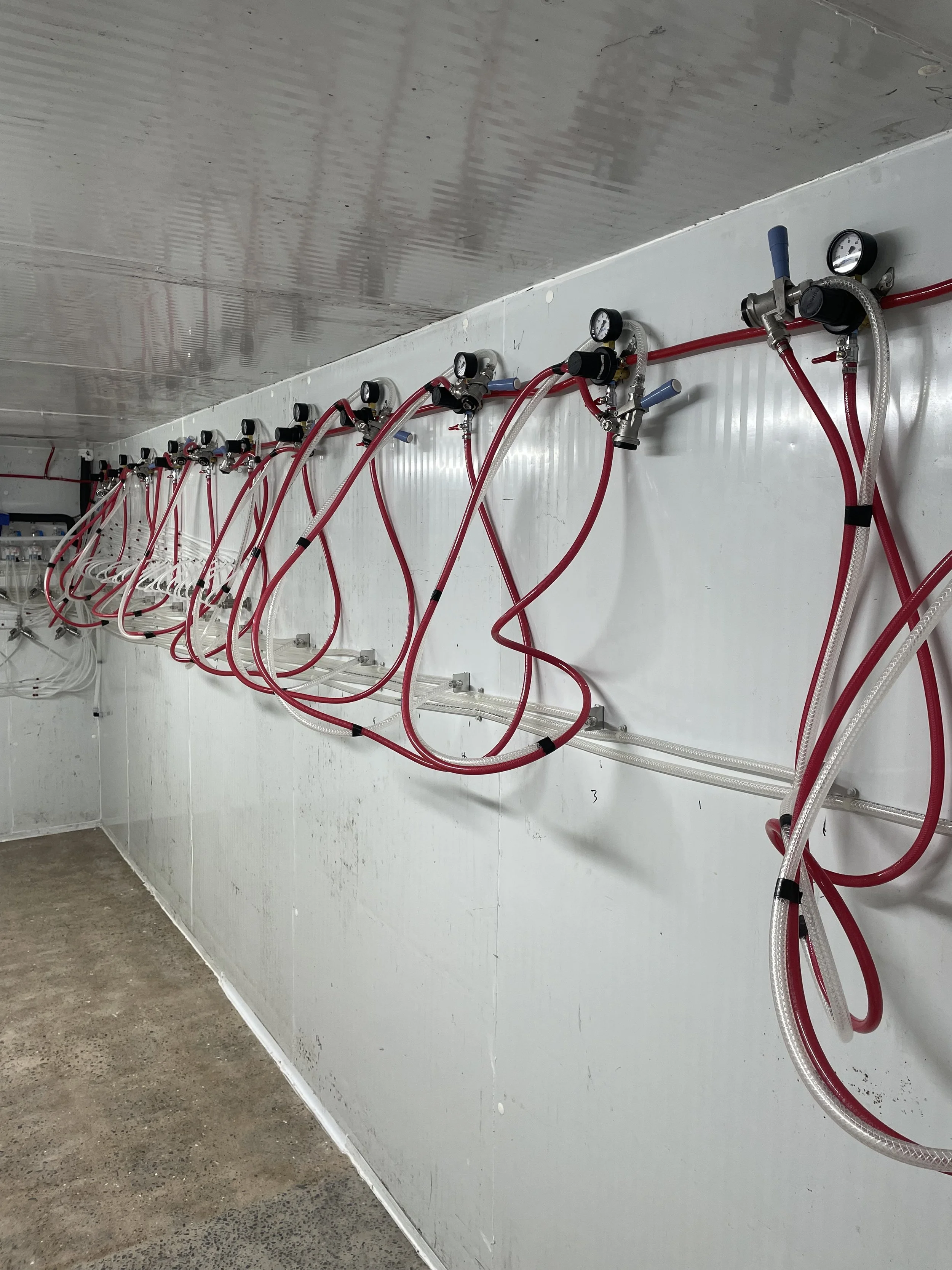 New multi-tap draught system installed in commercial bar