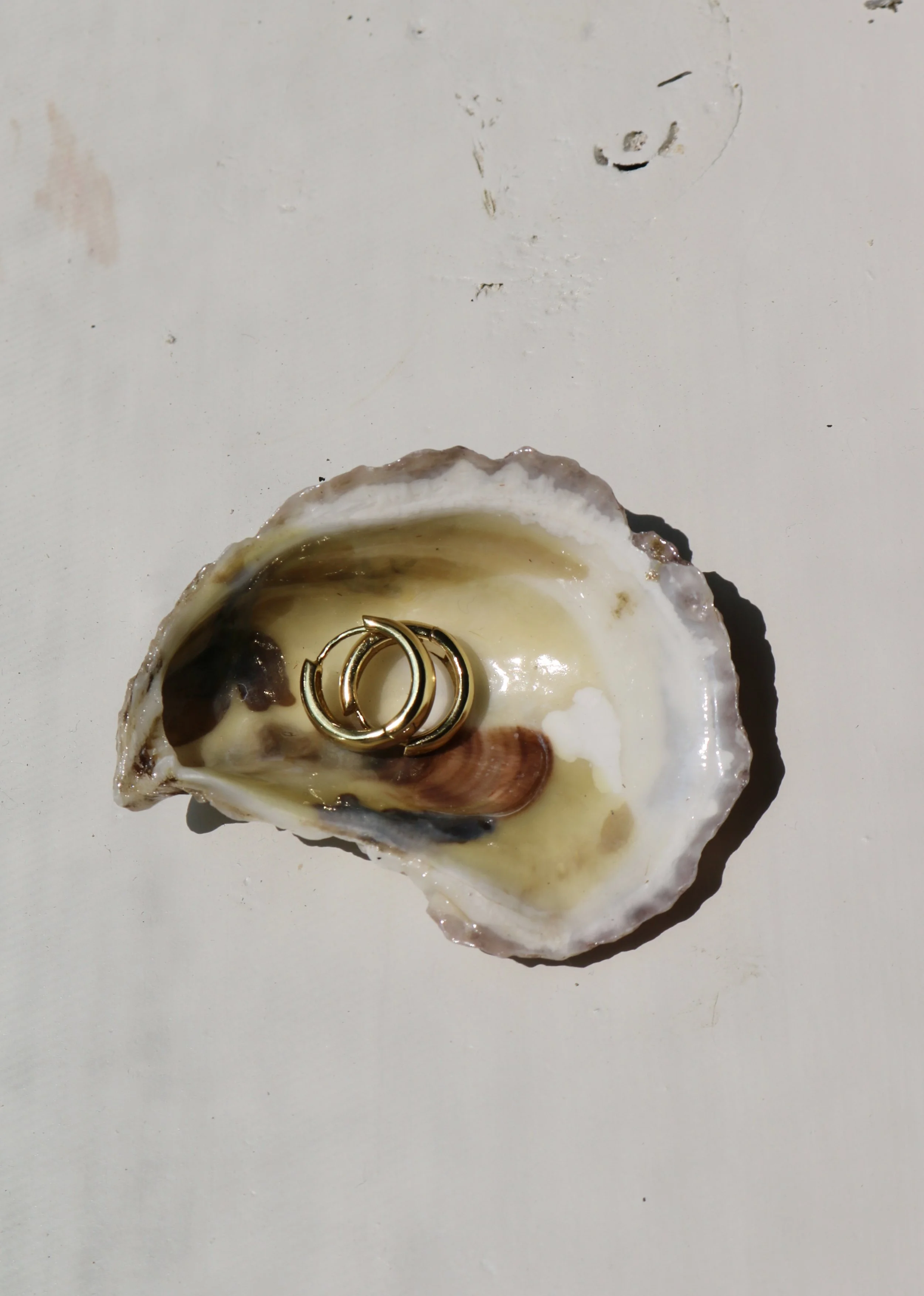 Oyster Shell Jewelry Dish