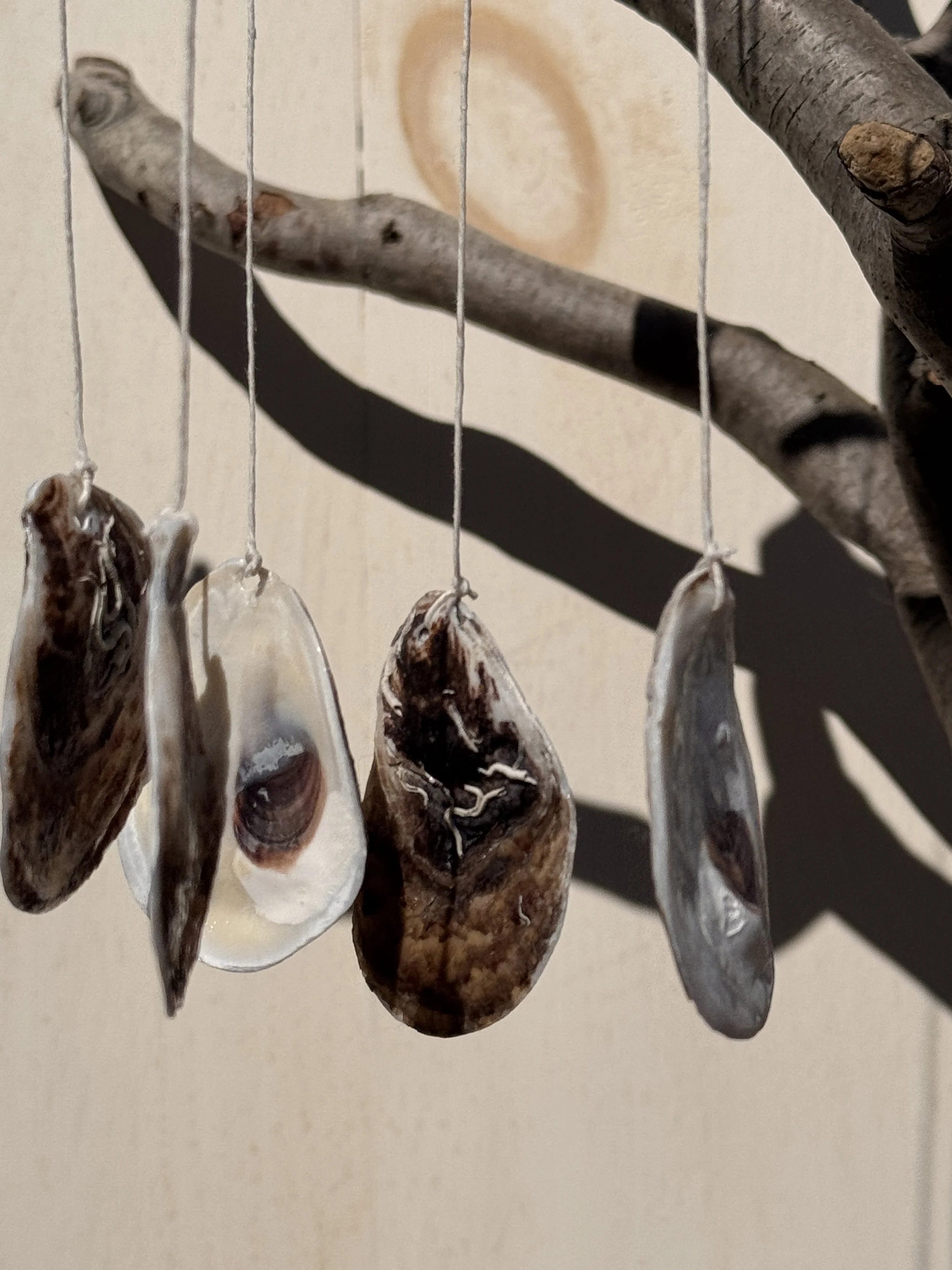 Small Oyster Shell Wind Chime