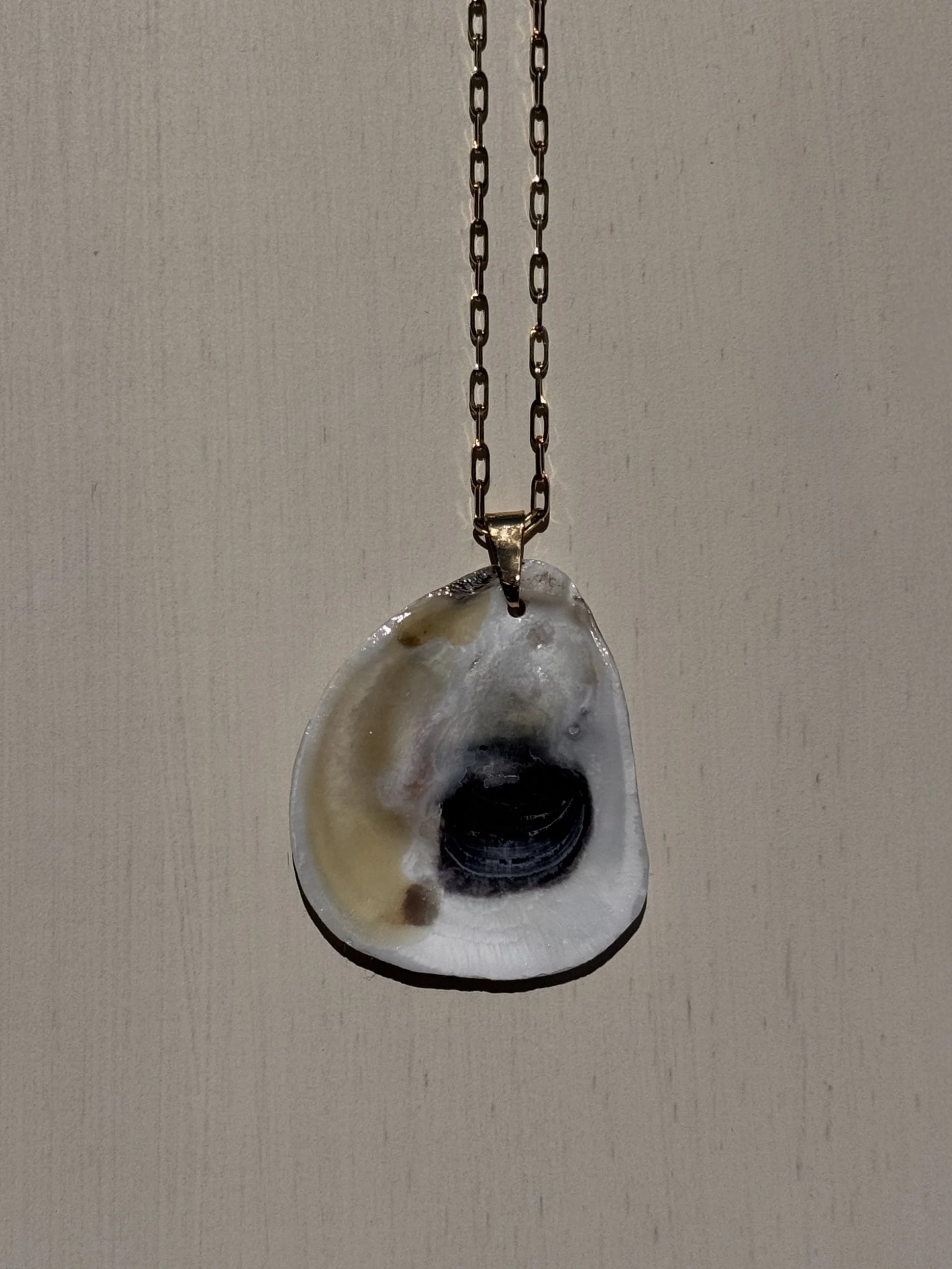 Gold Link Chain Oyster Shell Necklace