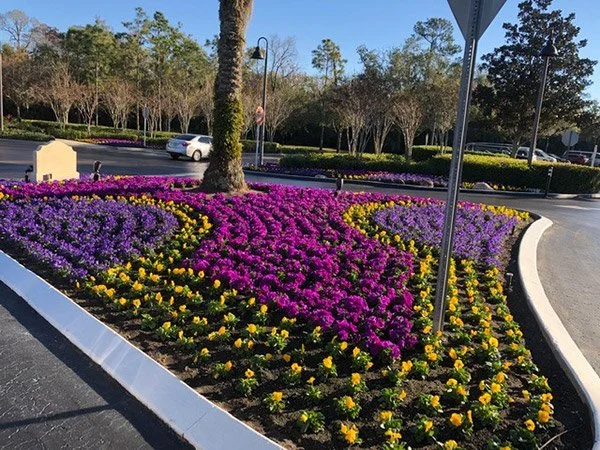 news-annual-flowers-guide-10 (1).jpg