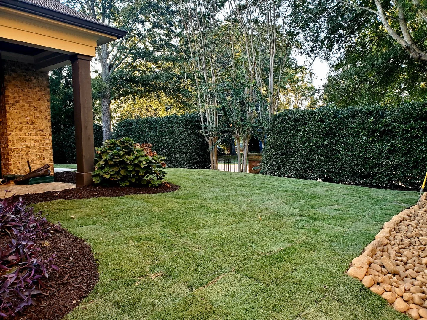 sod-installation-20250911_184058 (1).jpg