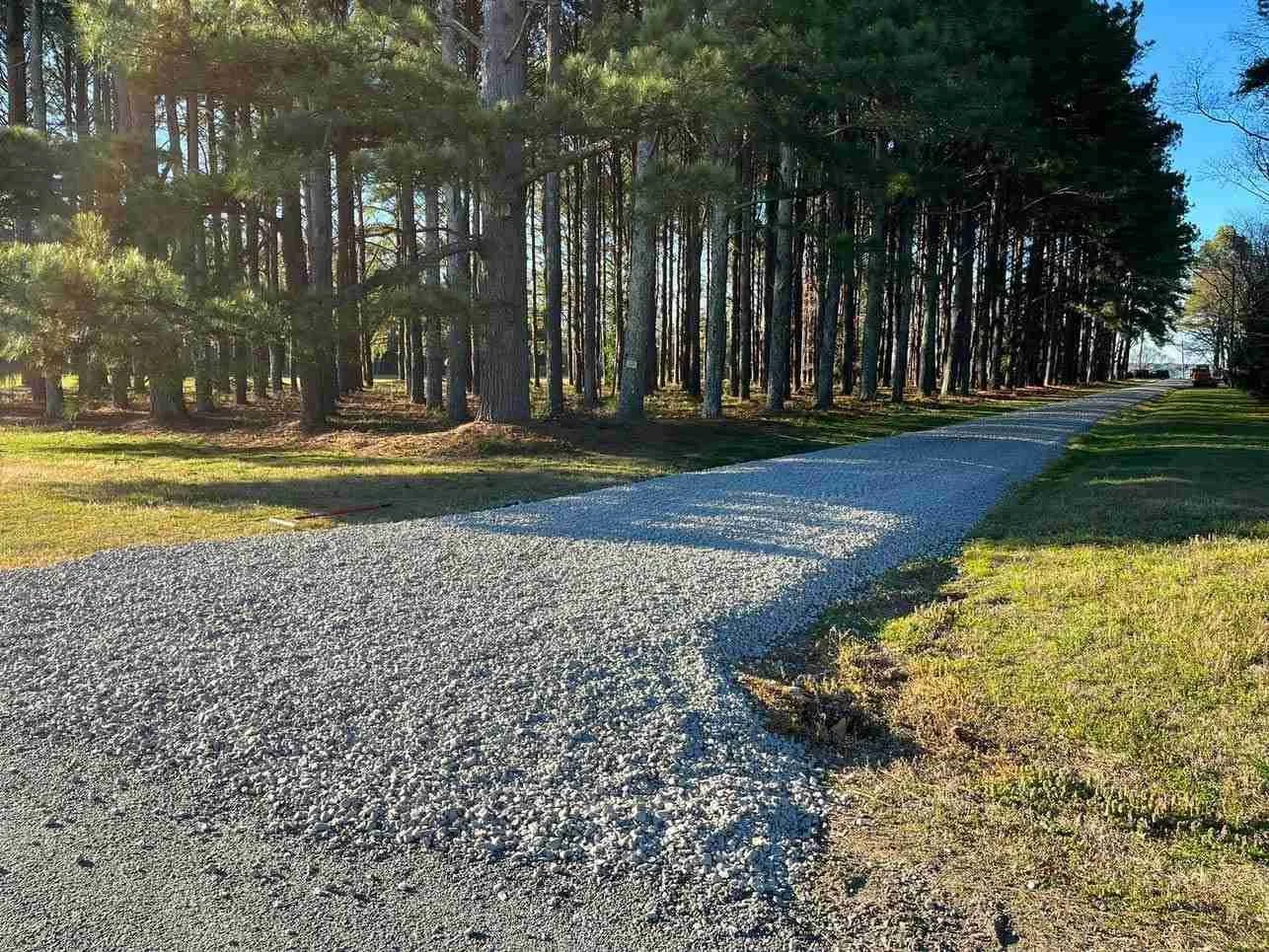 Line-berry-development-2-1 (1).jpg