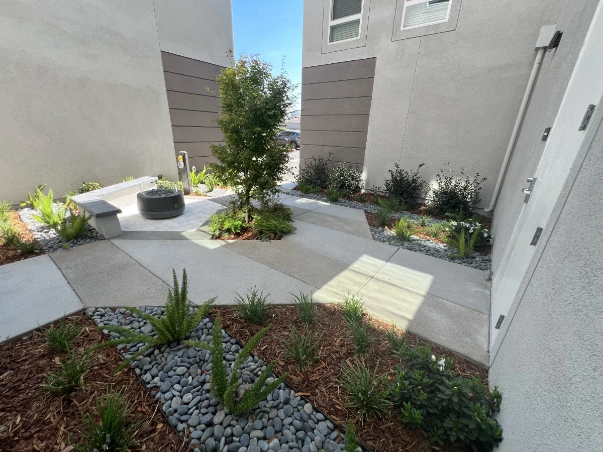 IMG_3660-Dawnielle-Meier (1).webp