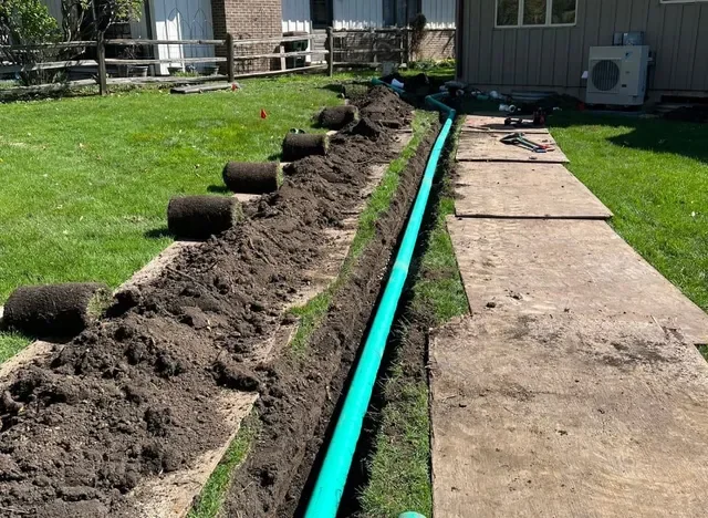 works-15-66ba8b07-640w.jpg (1).webp