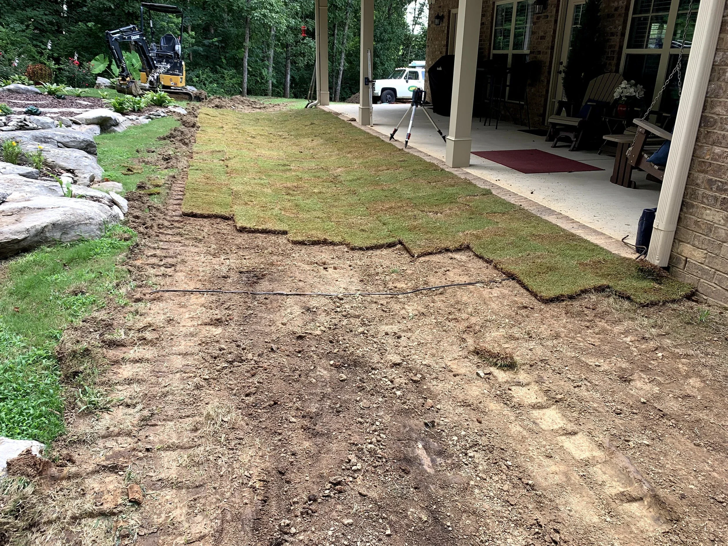 IMG_4231.jpg (1).webp