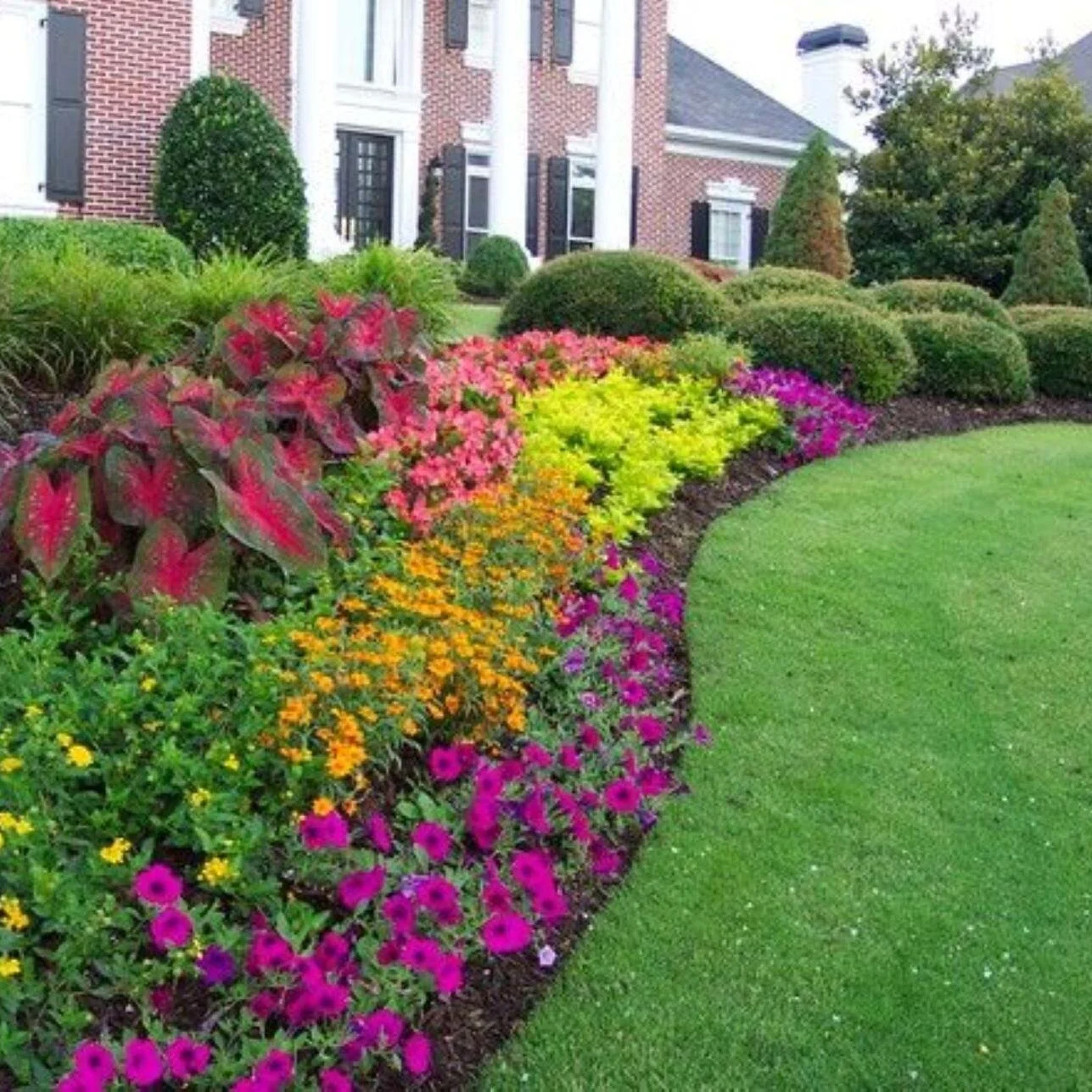 6407558d8dc0d.image (1).jpg