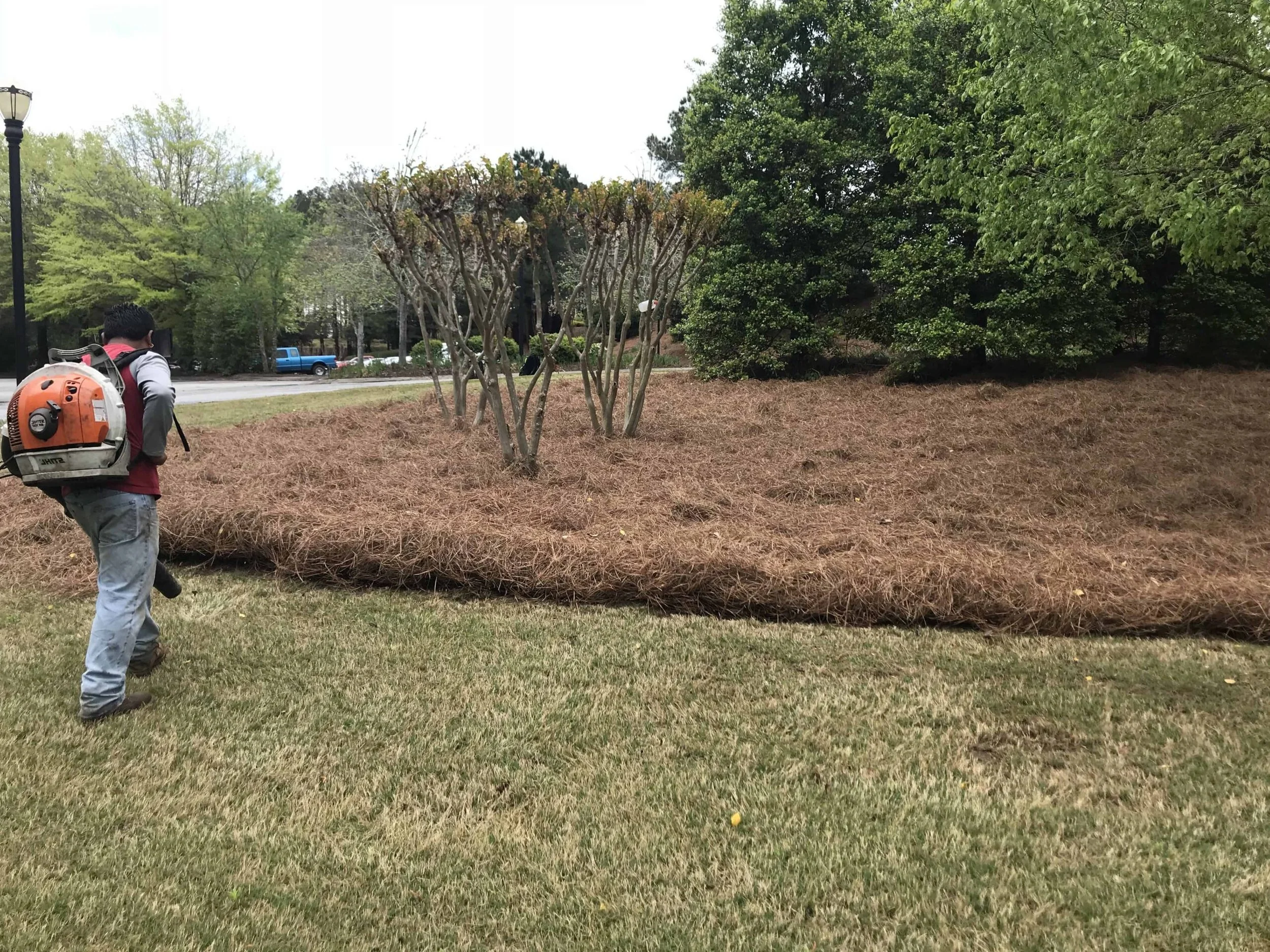 IMG_0432-e1572617559803-scaled (1).jpg