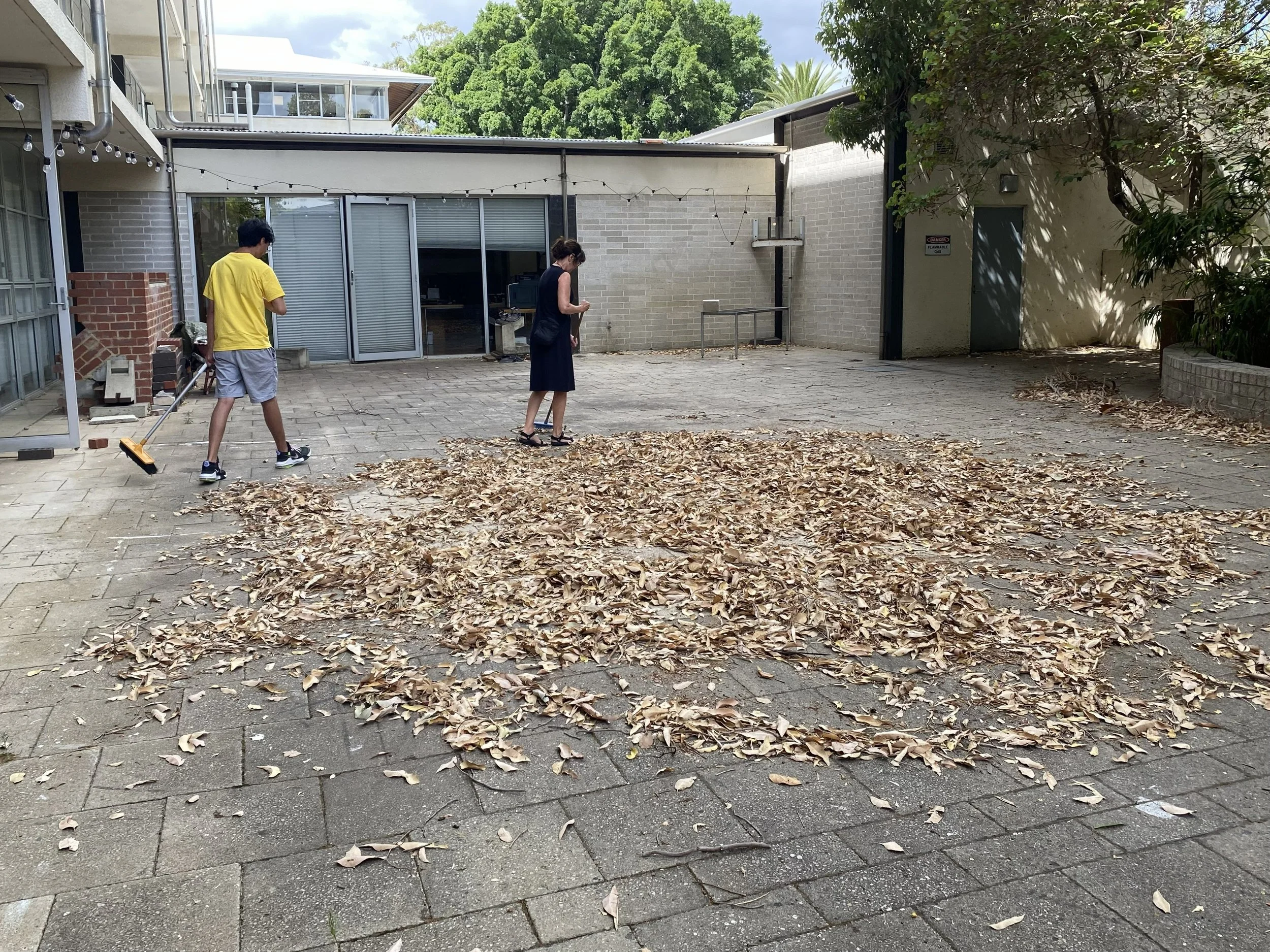 field sweeping day 7.jpg