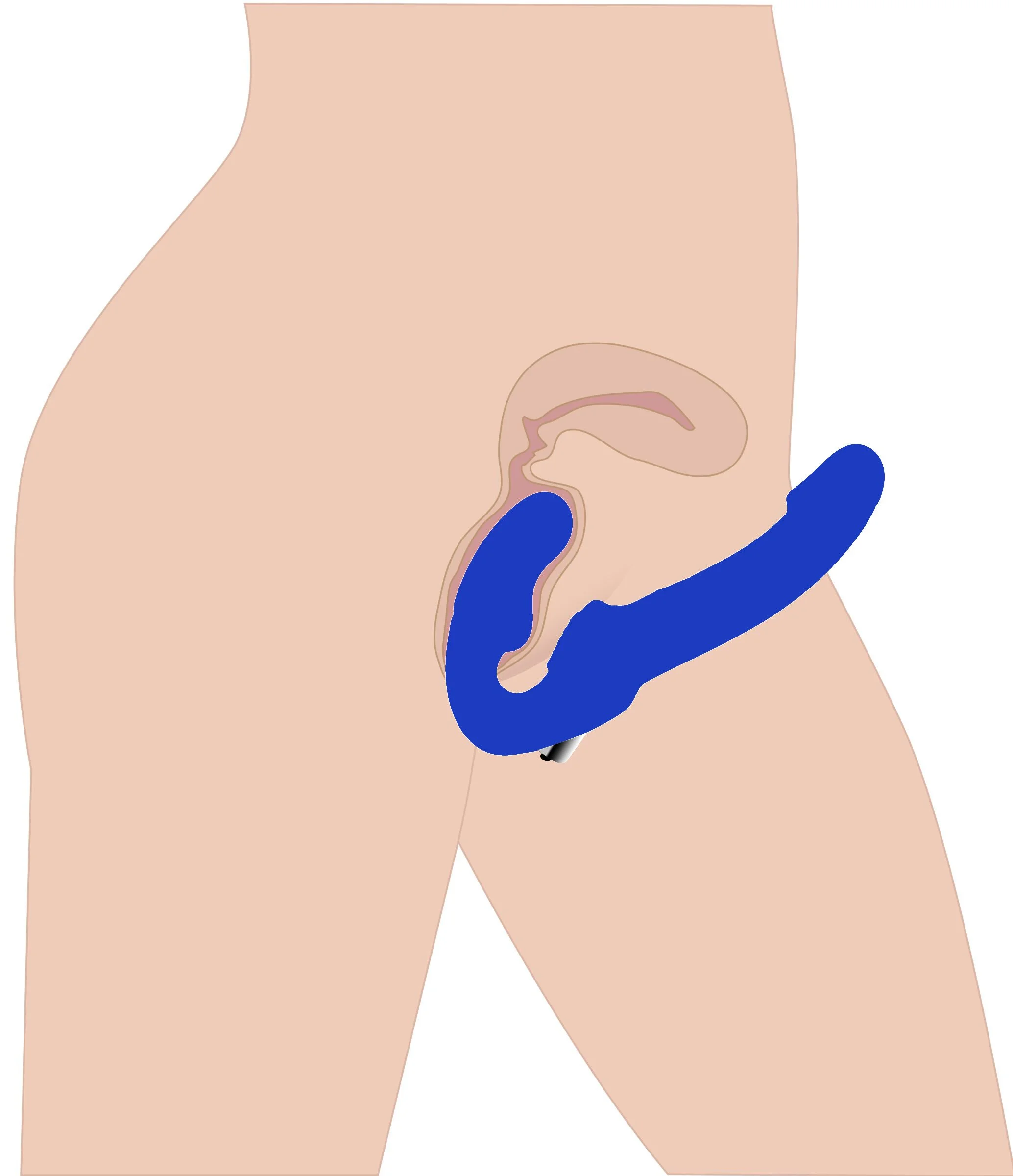 Revolver II Strapless Strap On Diagram.jpg