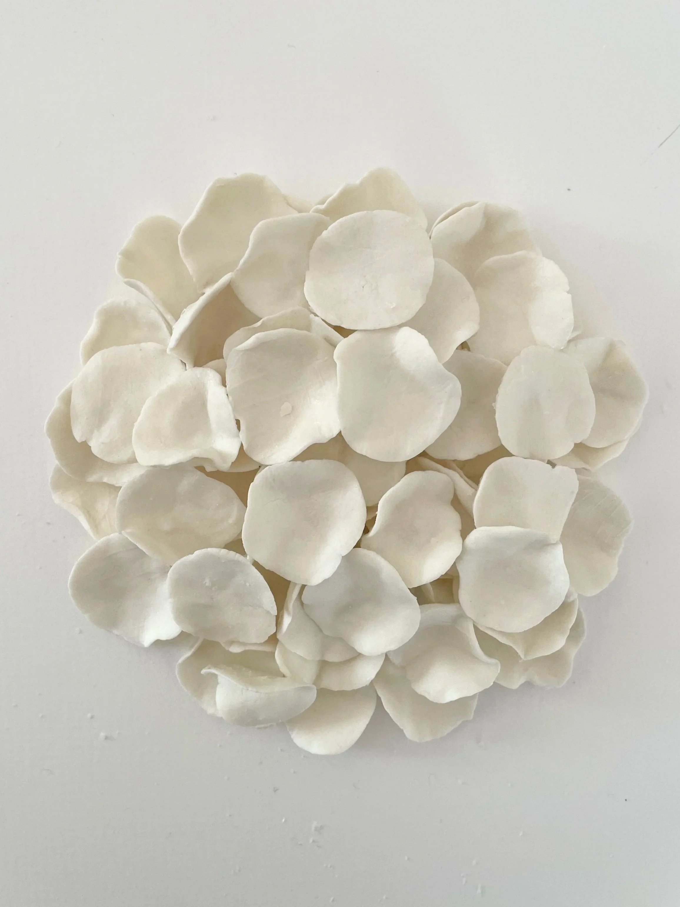 Close-up of white flower petals arranged in a spherical shape on a white surface.