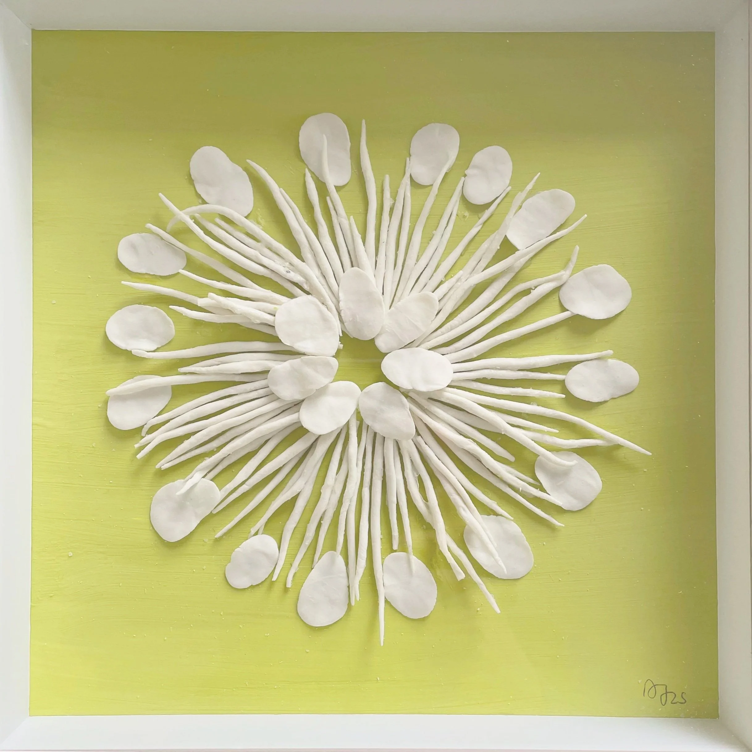 Artistic arrangement of white flower petals and stamens on a green background in a circular pattern.