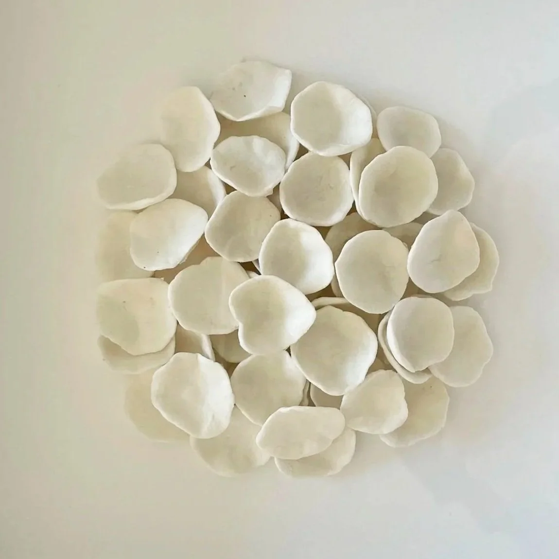 Close-up of white flower petals arranged in a circular pattern on a white surface.