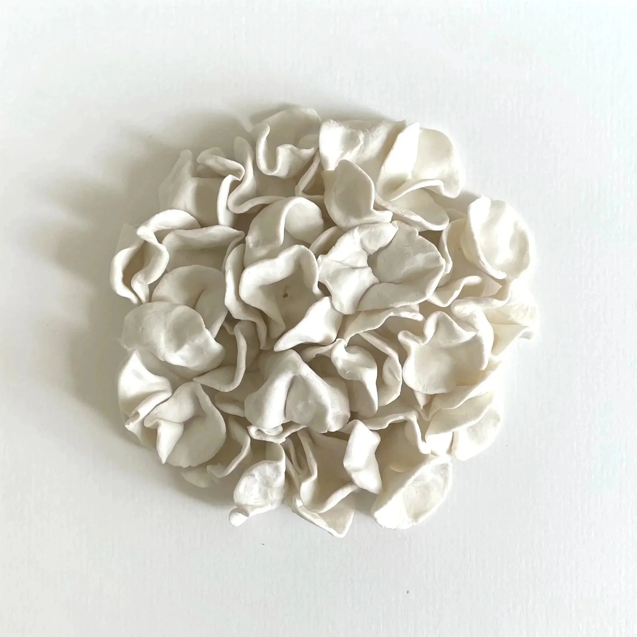 Close-up of a cluster of white, crumpled, paper-like objects with a textured surface, arranged on a white background.