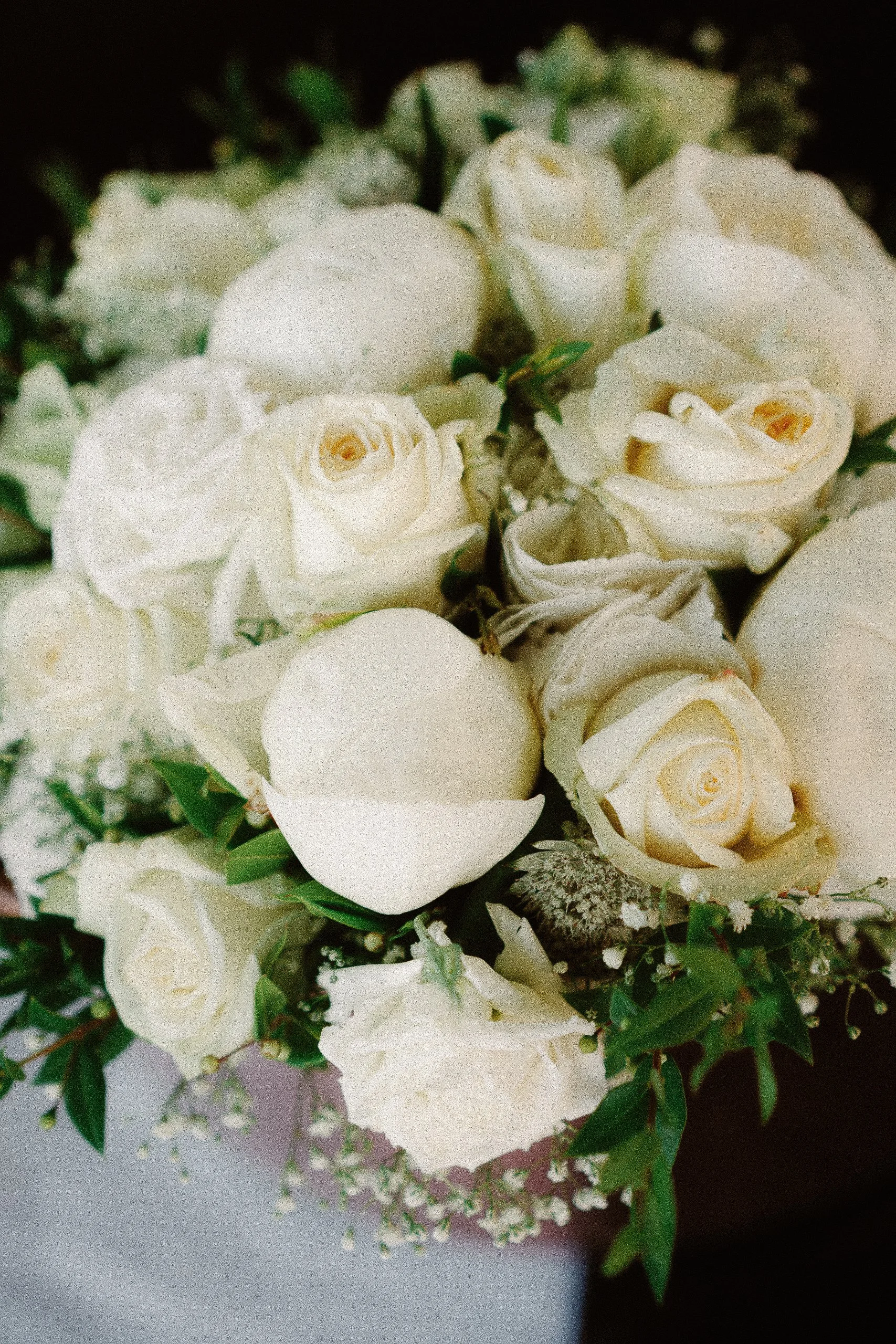 Un bouquet de roses blanches avec quelques feuillages verts et petites fleurs blanches