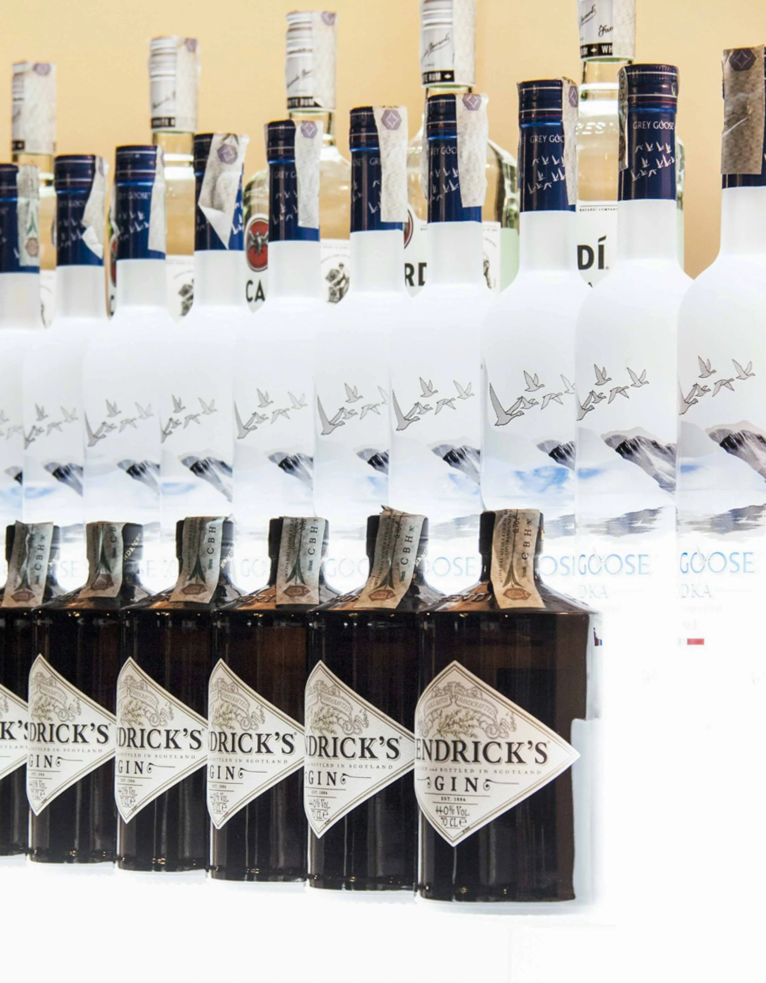 selezione gin eventi.jpg