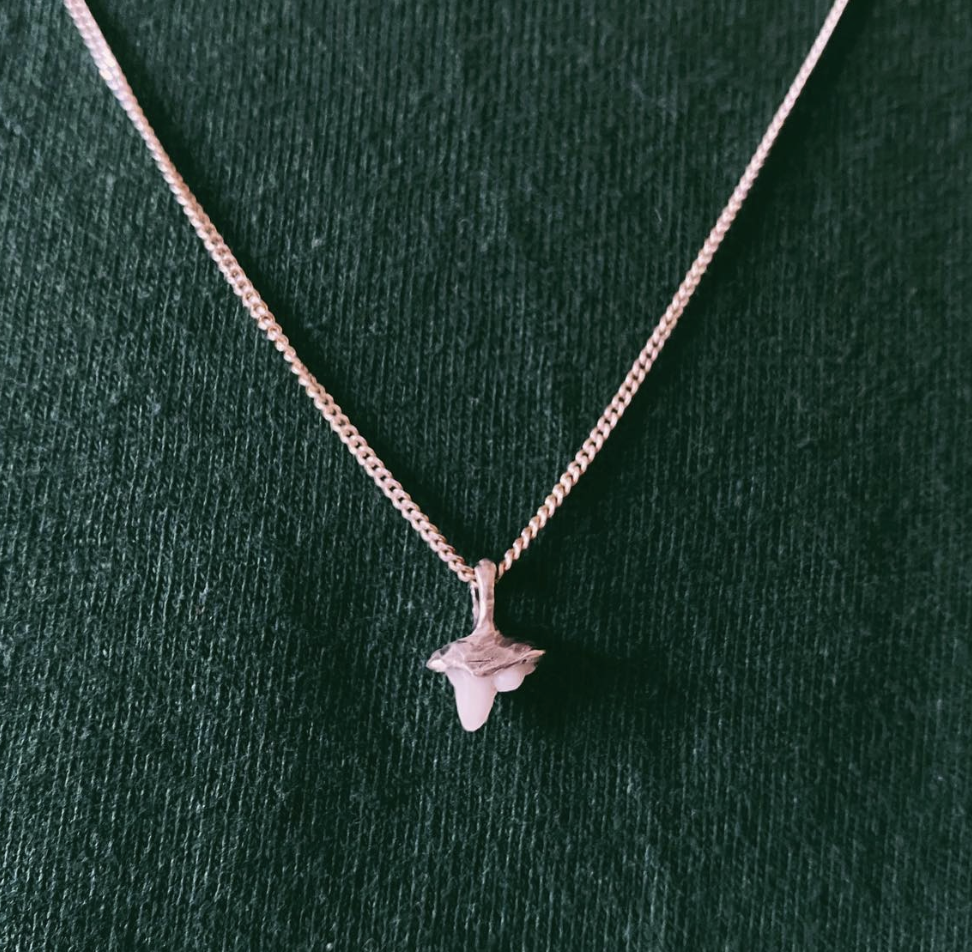 Screenshot 2026-03-11 at 23.22.55.png